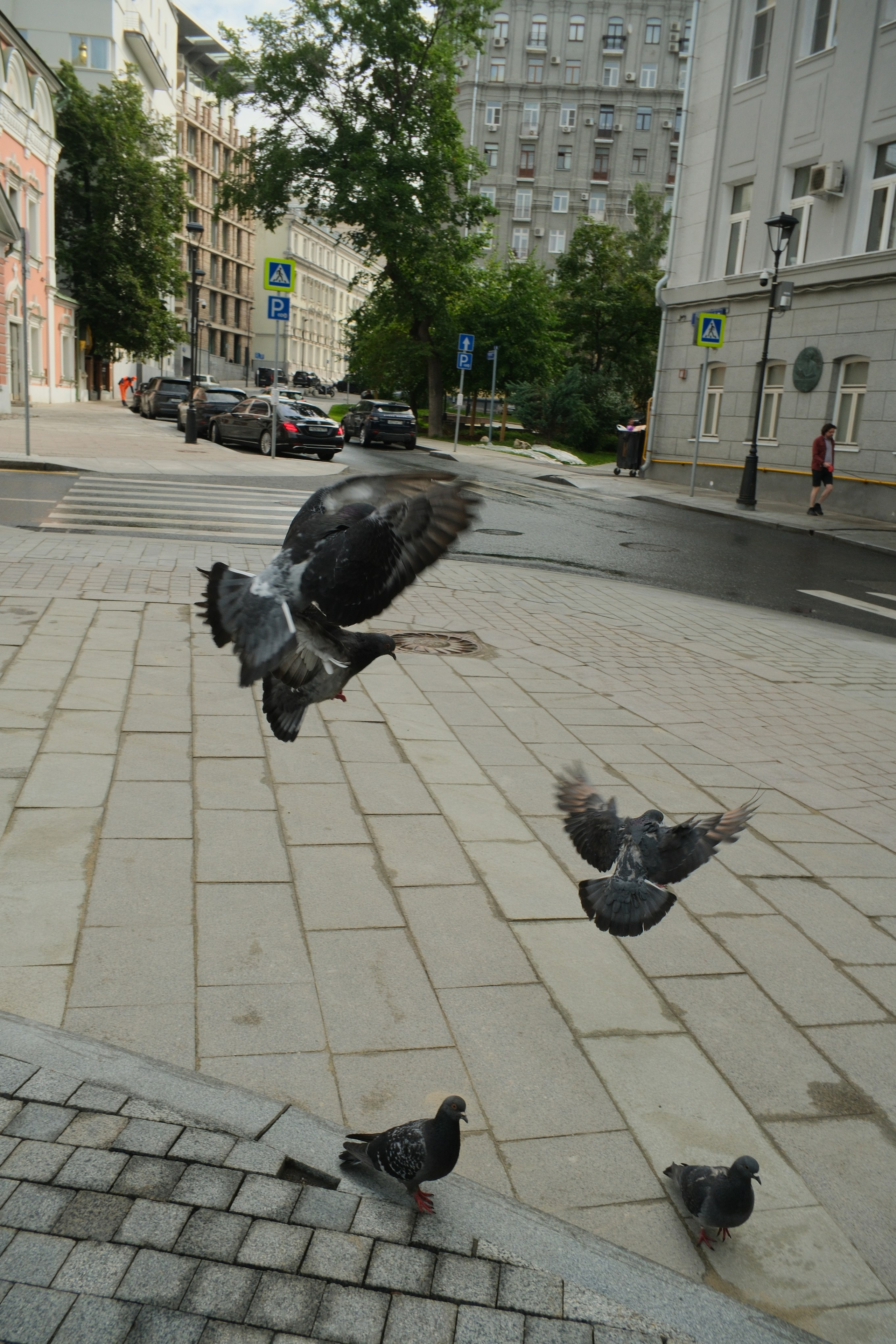 Улица, люди, жизнь…