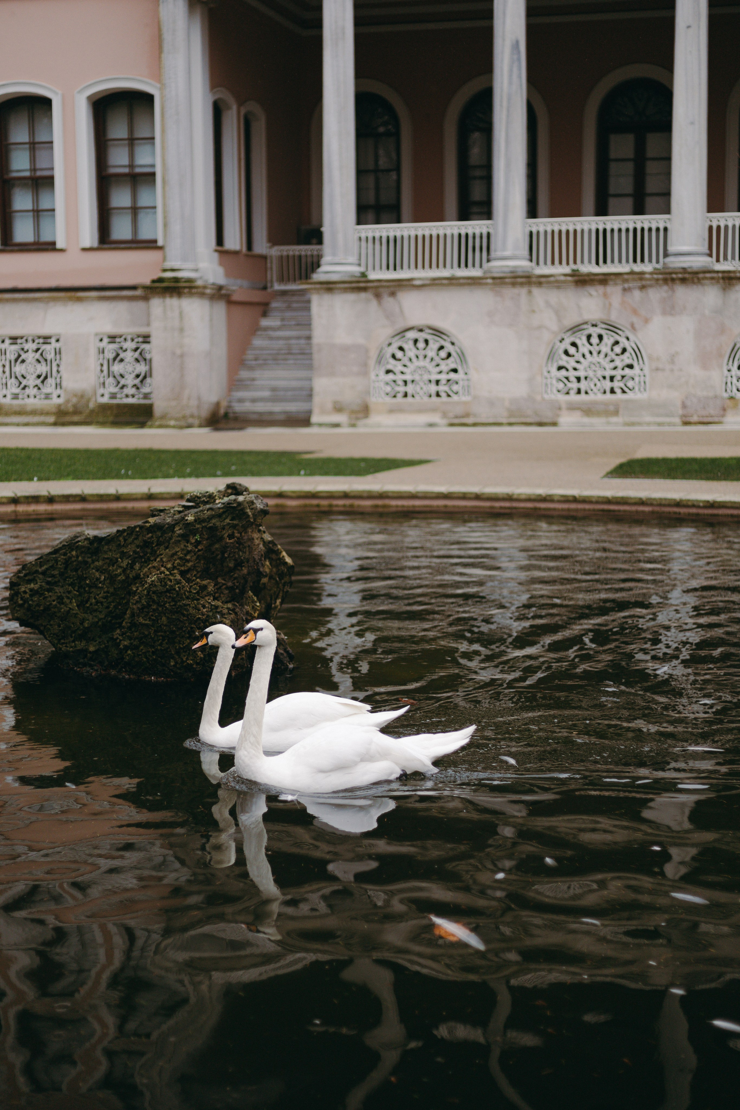 Стамбул. Профессиональный Фотограф во Владимире, в Москве и в Суздале — Полина Романычева