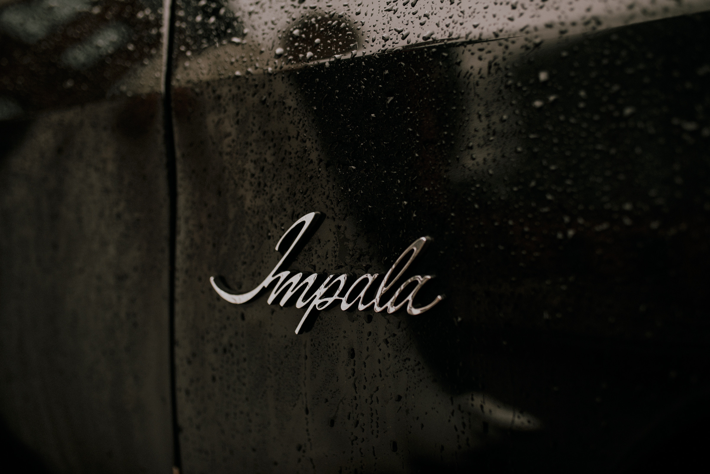 Аделя и Ваня. Свадебный фотограф в Москве и Ярославле Павел Кандауров