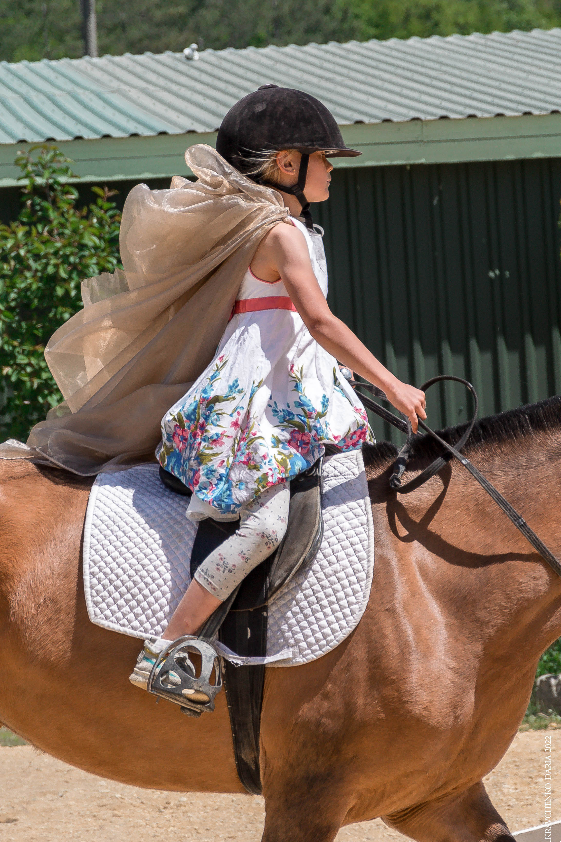 Соревнования в клубе «Реактив». Фотограф в Севастополе