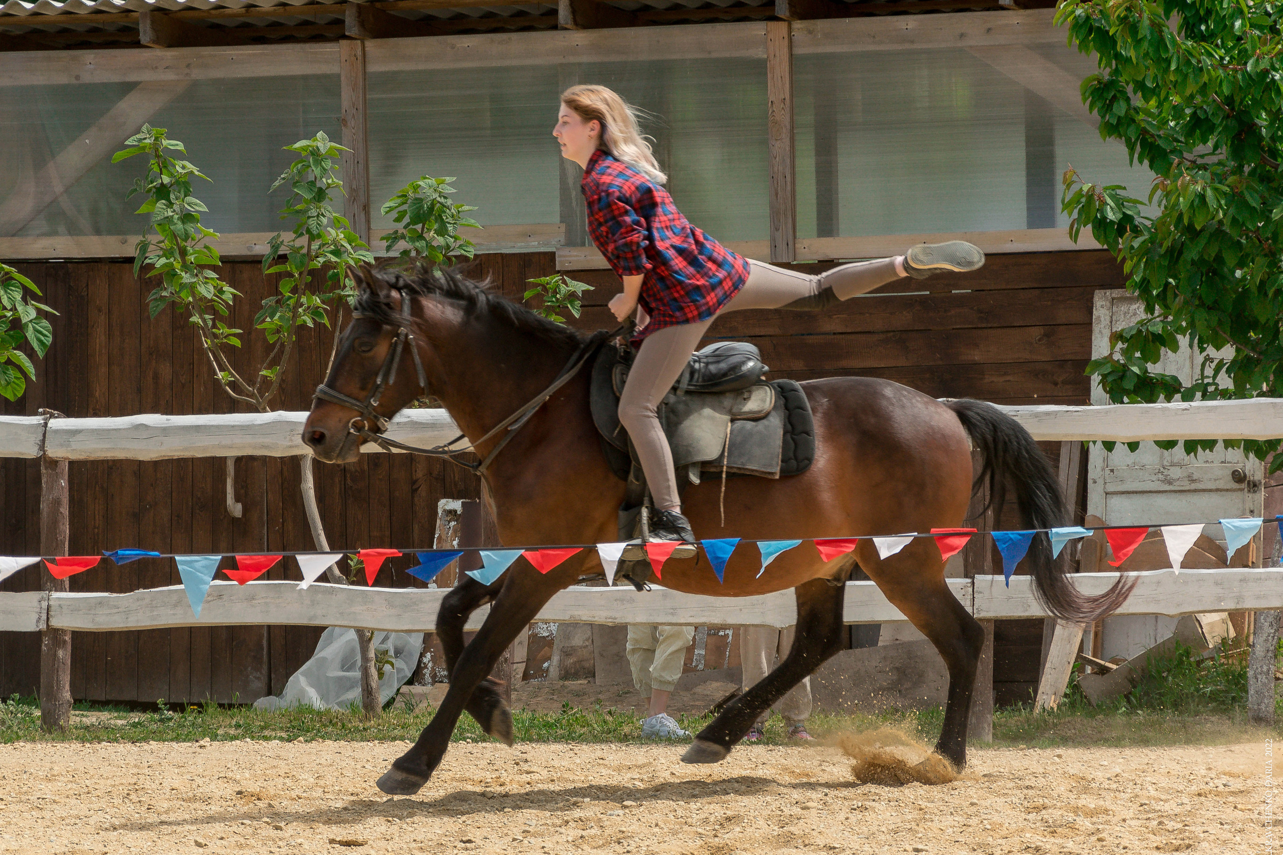 Соревнования в клубе «Реактив». Фотограф в Севастополе