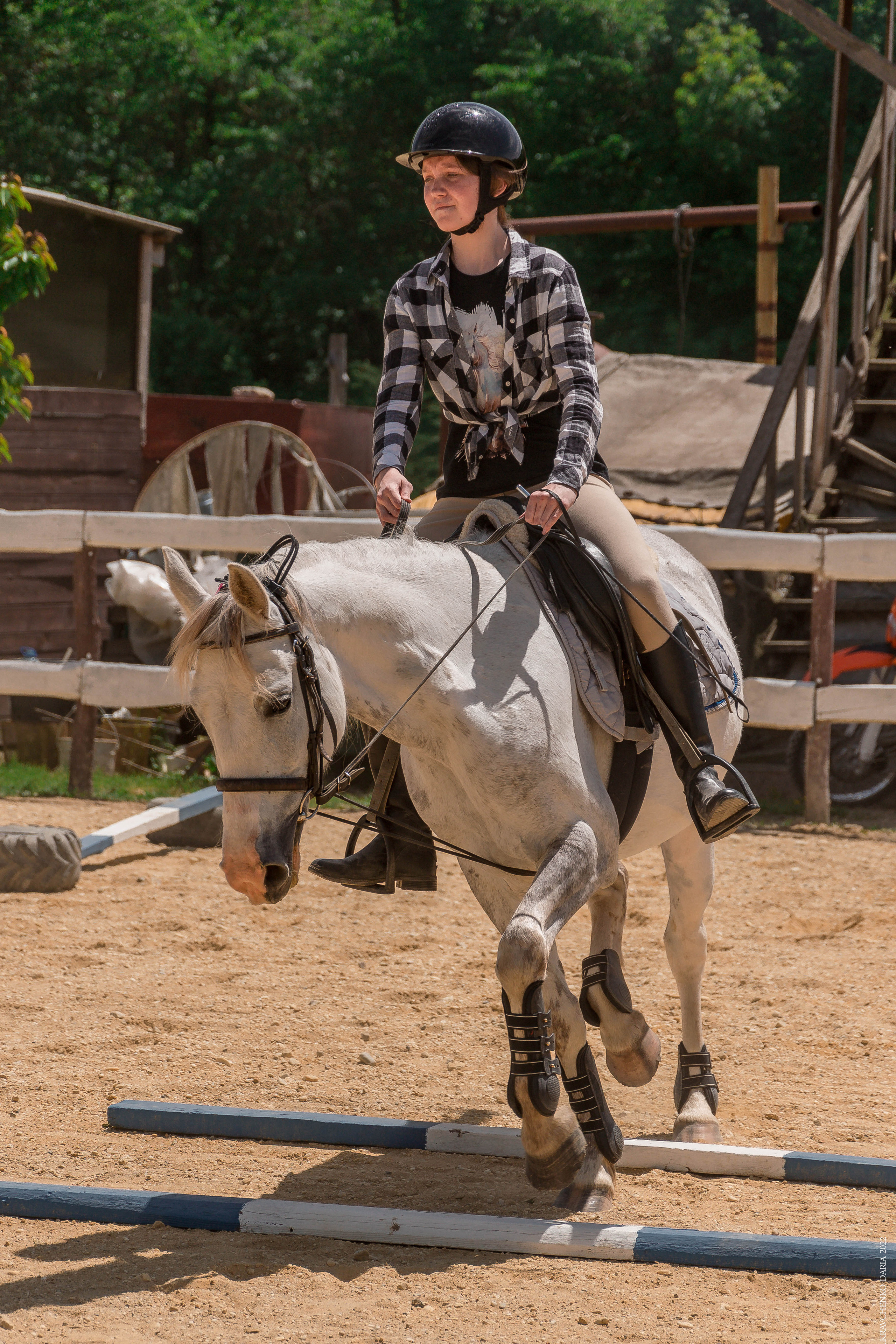 Соревнования в клубе «Реактив». Фотограф в Севастополе