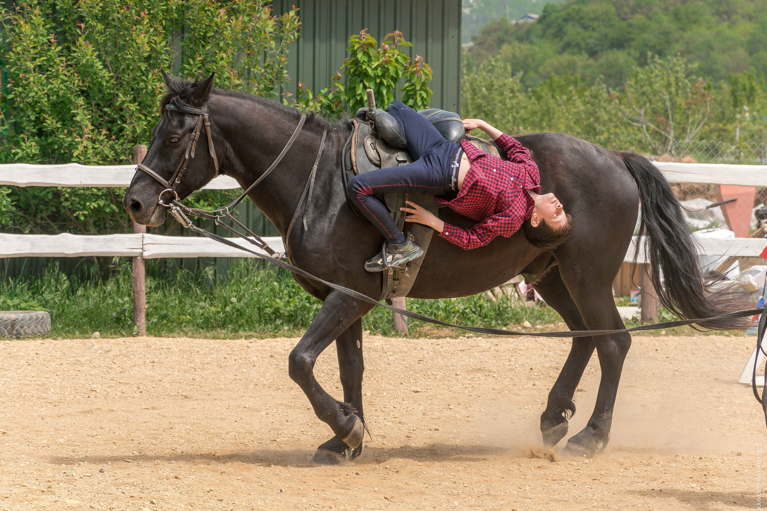 Соревнования в клубе «Реактив». Фотограф в Севастополе