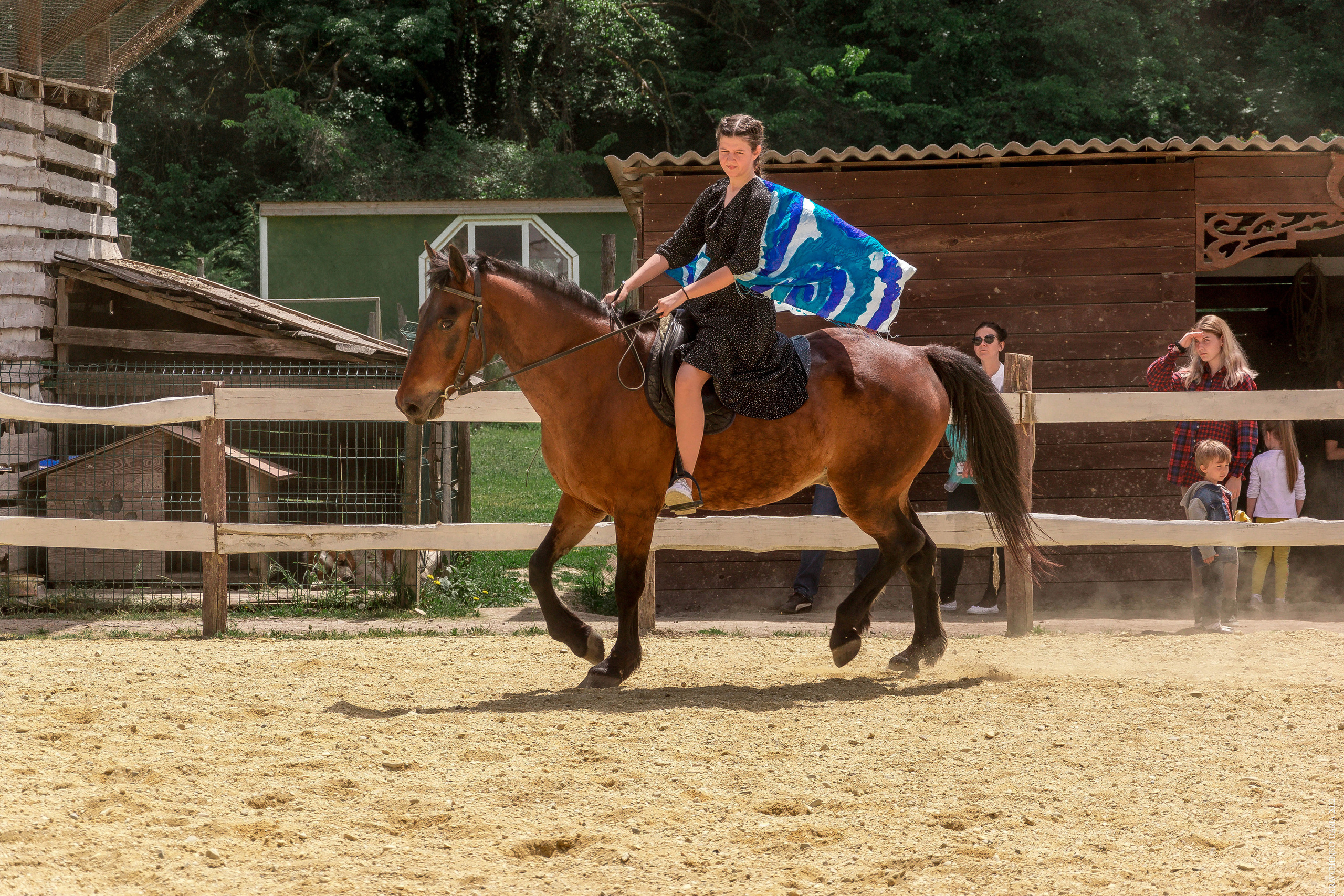 Соревнования в клубе «Реактив». Фотограф в Севастополе