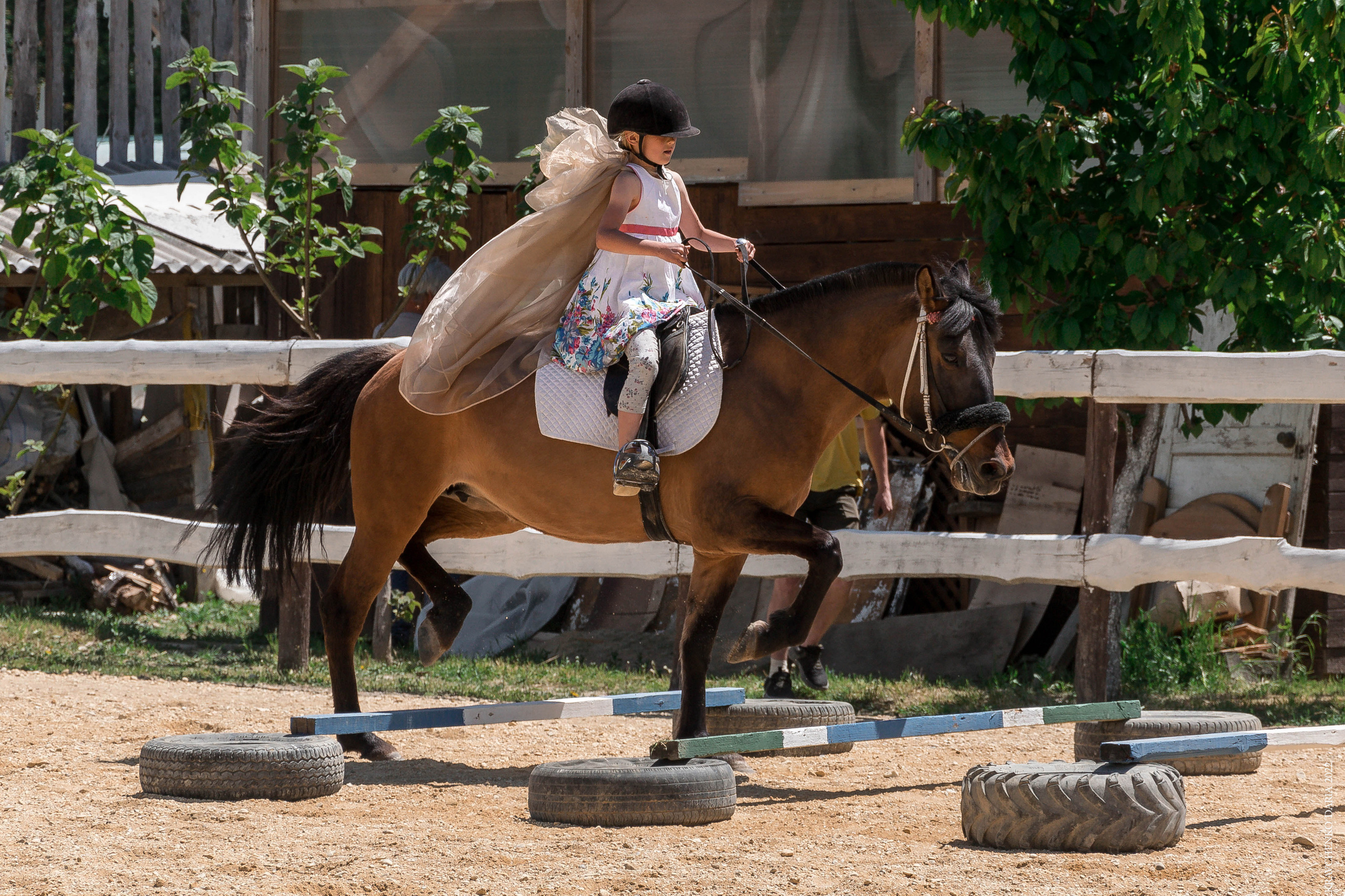 Соревнования в клубе «Реактив». Фотограф в Севастополе