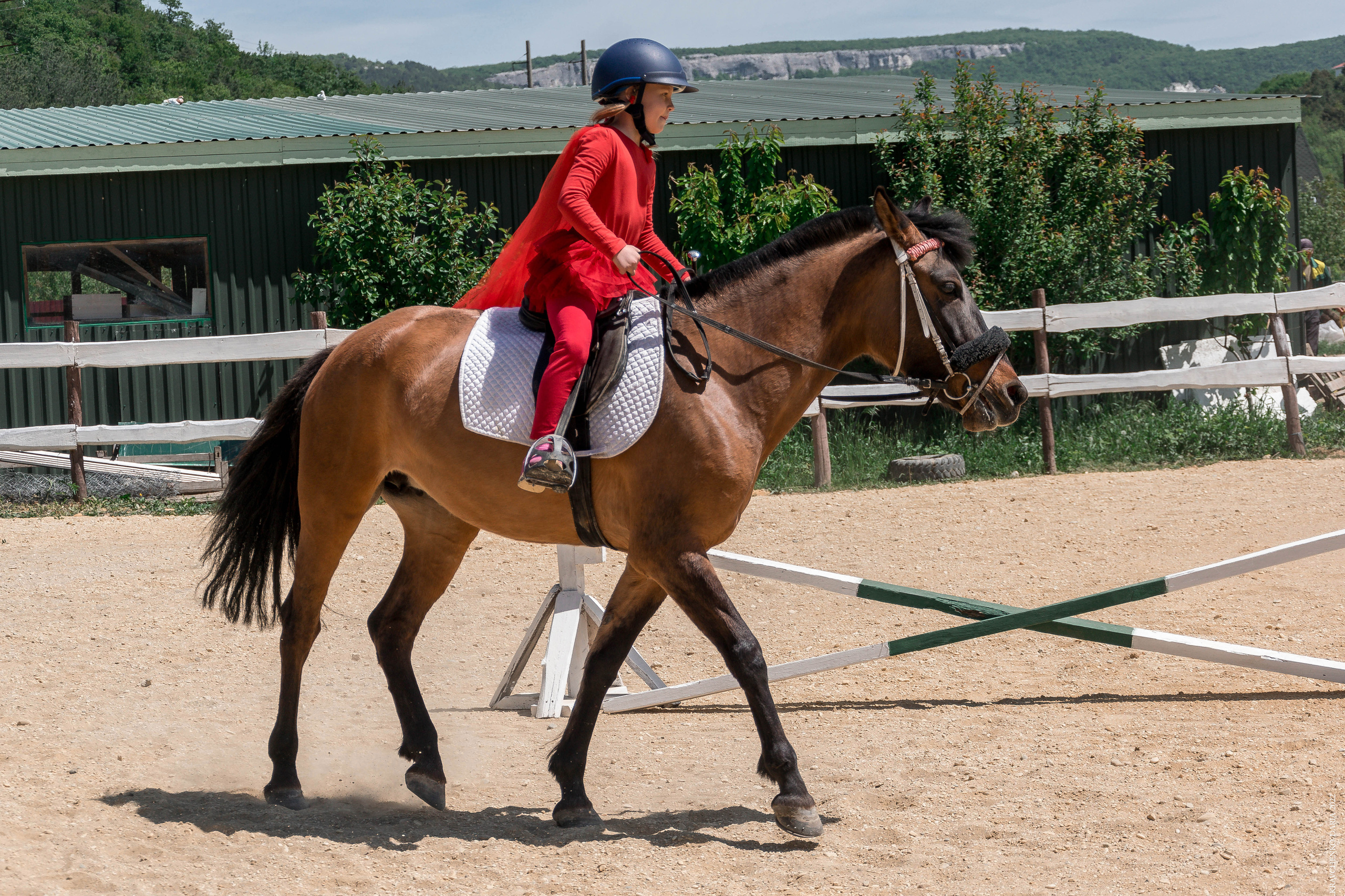 Соревнования в клубе «Реактив». Фотограф в Севастополе