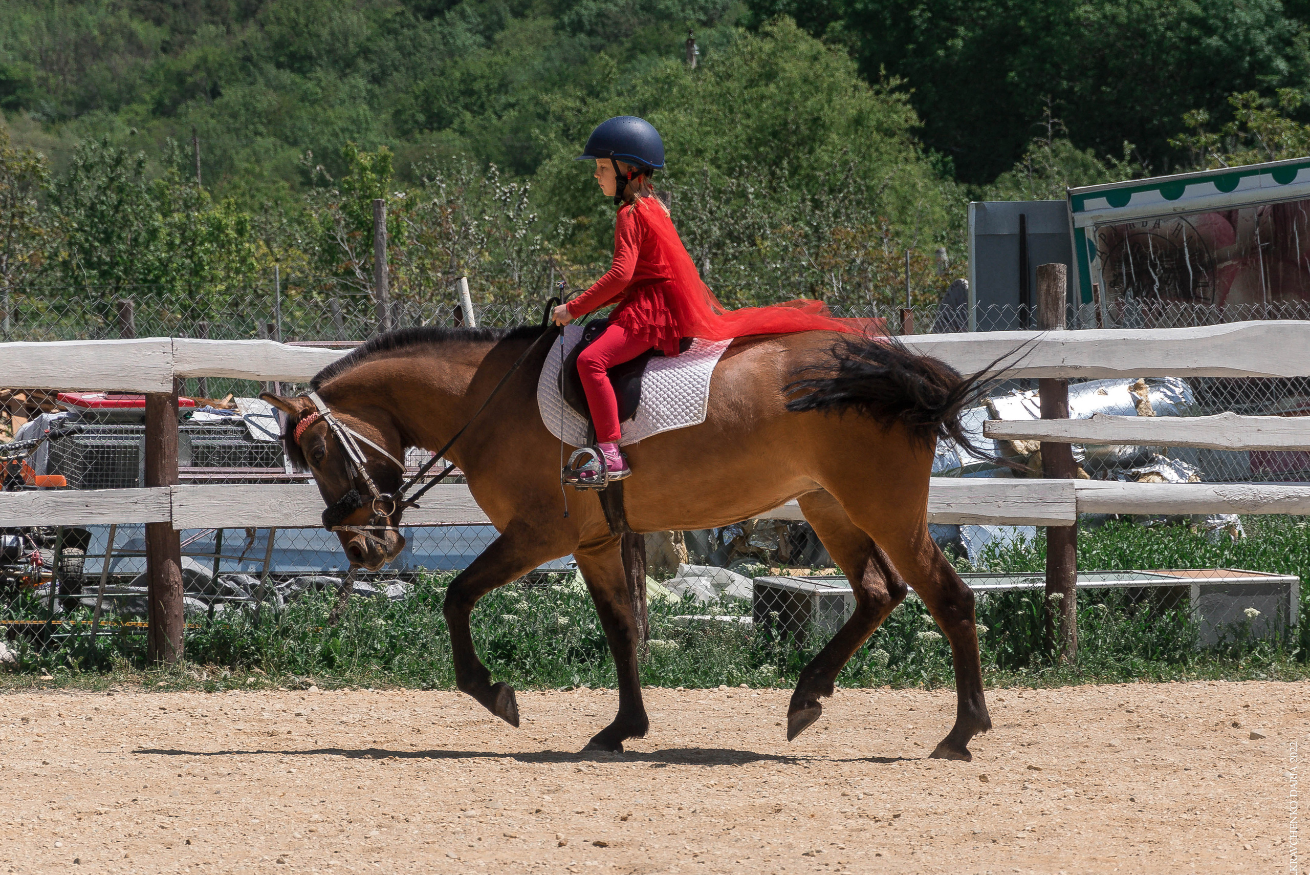 Соревнования в клубе «Реактив». Фотограф в Севастополе
