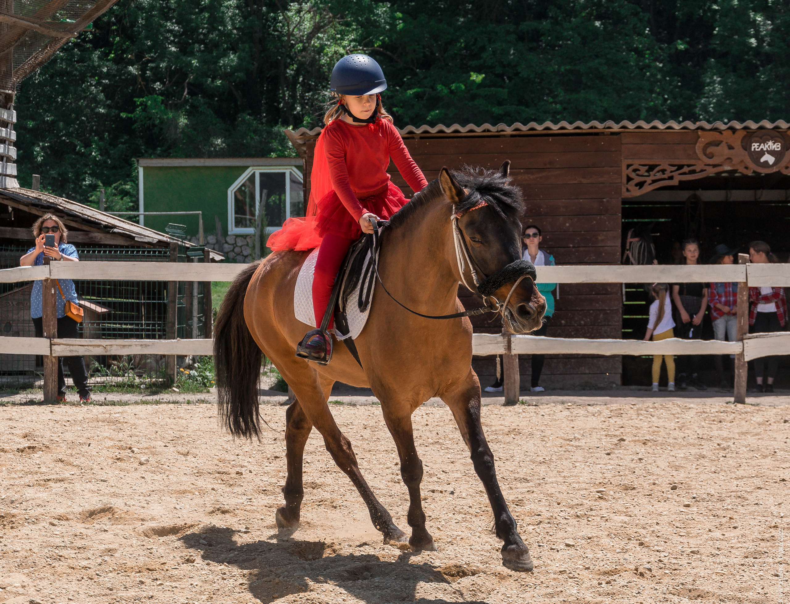 Соревнования в клубе «Реактив». Фотограф в Севастополе