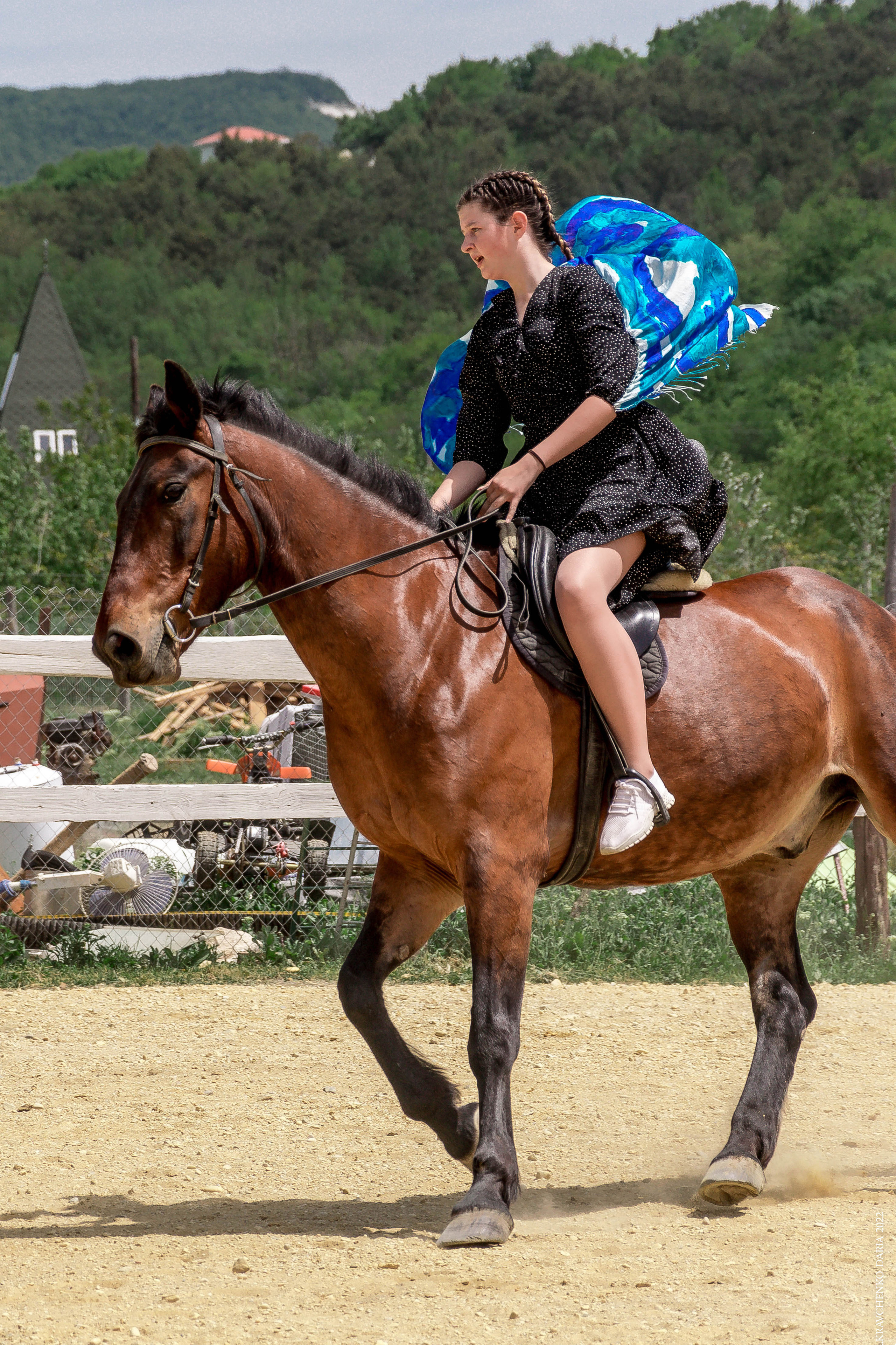 Соревнования в клубе «Реактив». Фотограф в Севастополе