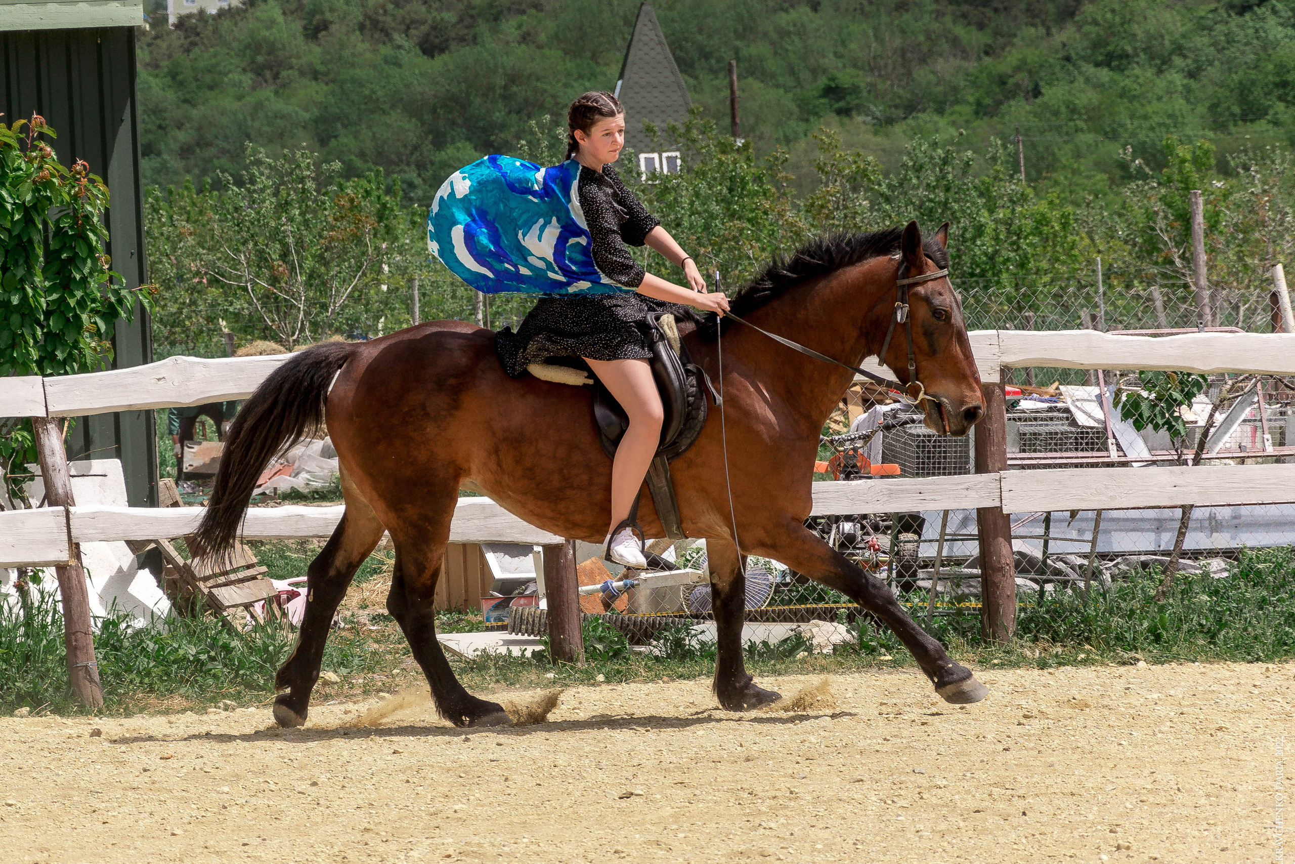Соревнования в клубе «Реактив». Фотограф в Севастополе