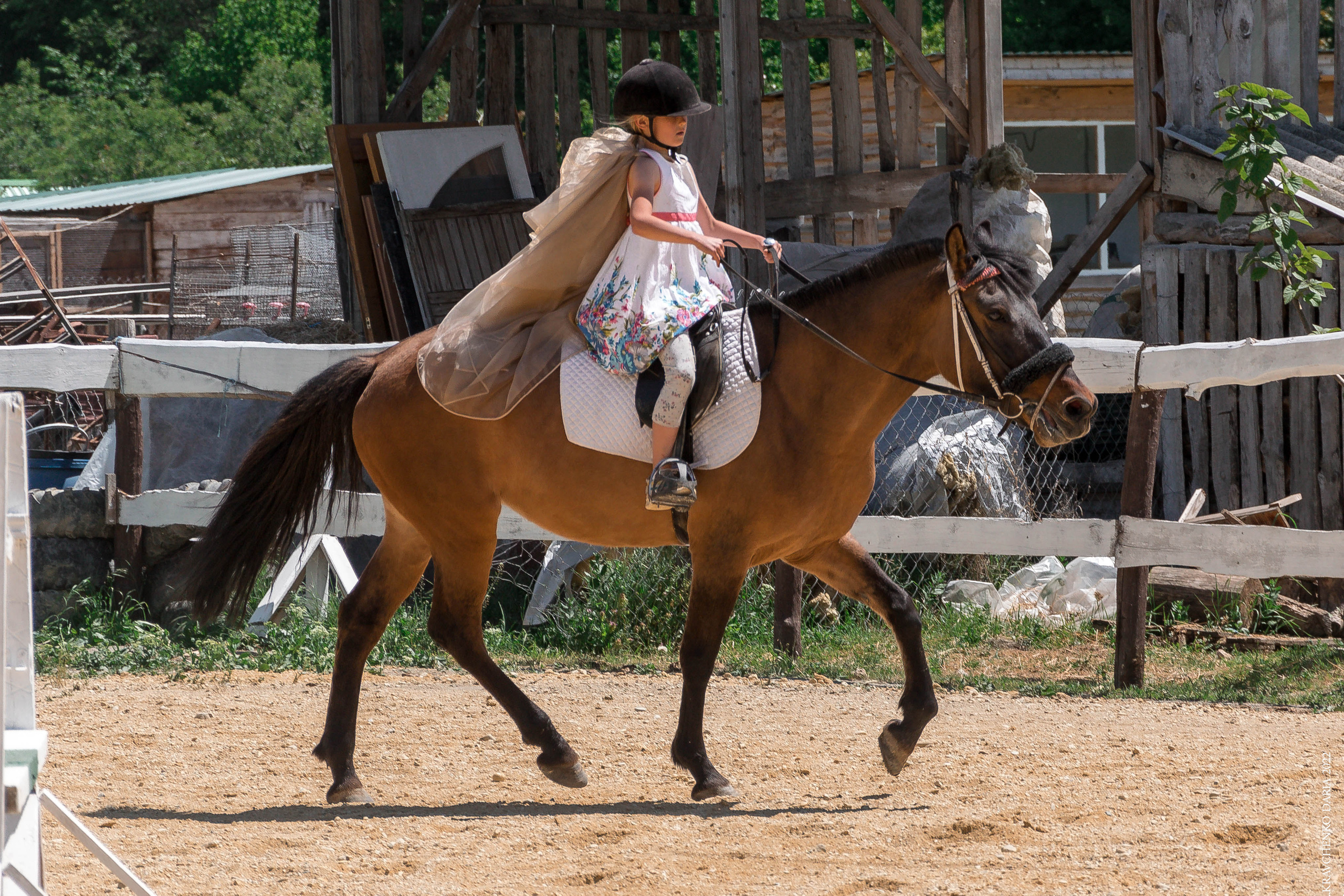 Соревнования в клубе «Реактив». Фотограф в Севастополе