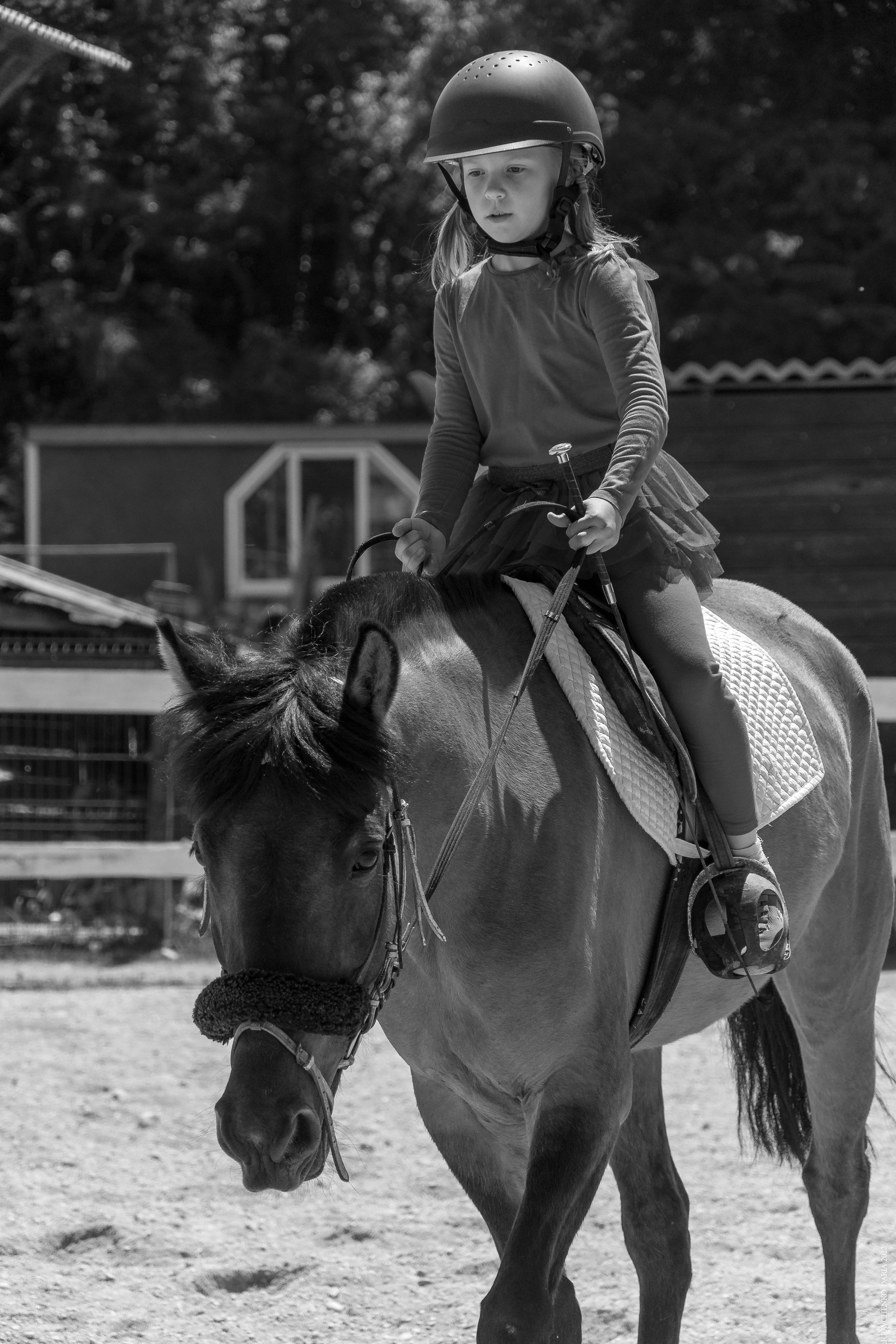 Соревнования в клубе «Реактив». Фотограф в Севастополе