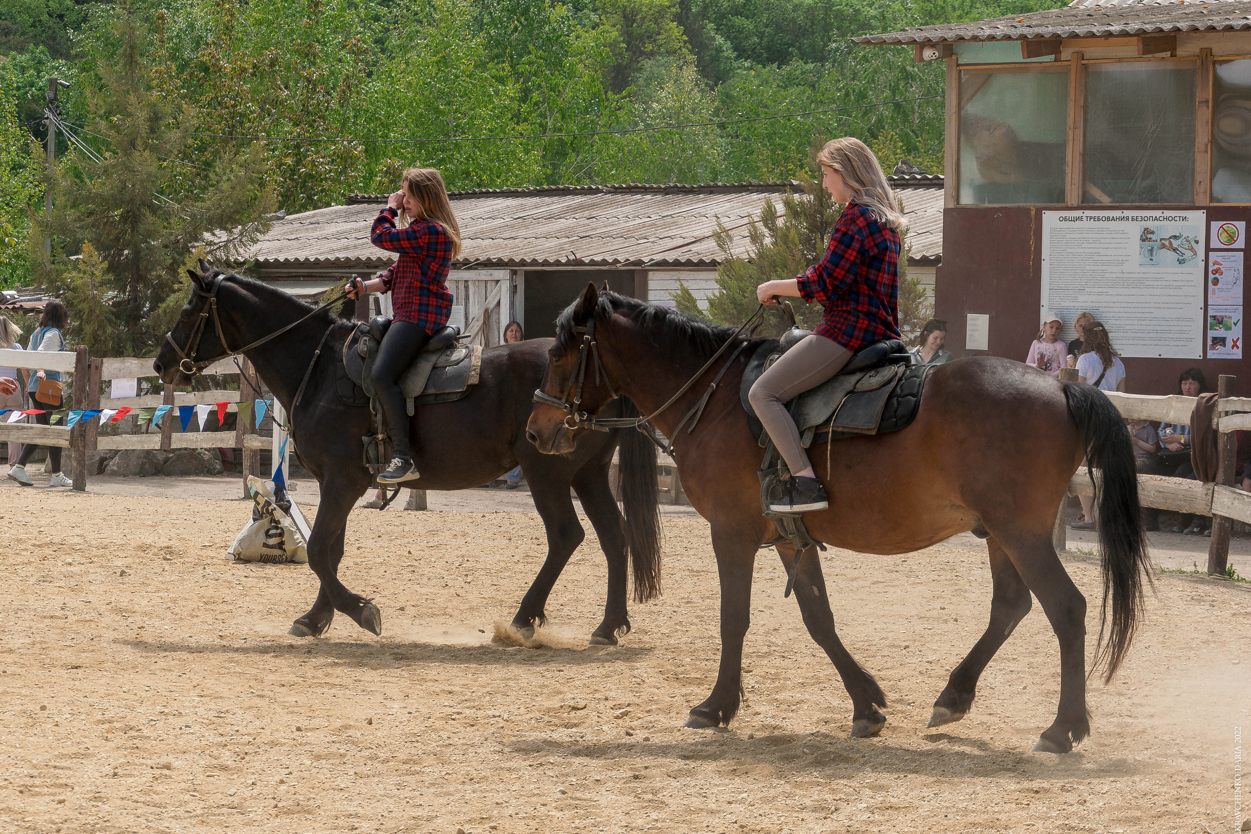 Соревнования в клубе «Реактив». Фотограф в Севастополе