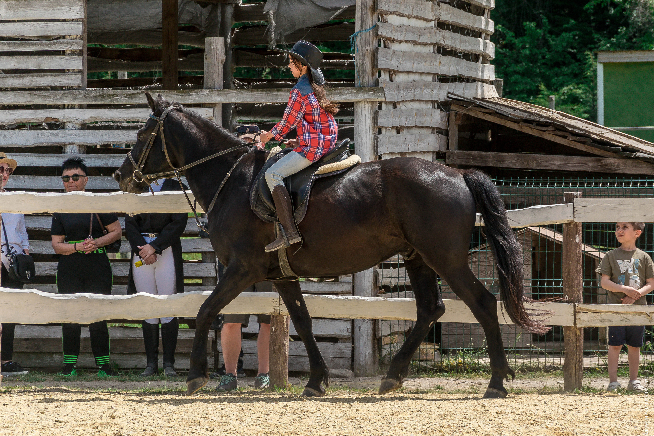 Соревнования в клубе «Реактив». Фотограф в Севастополе