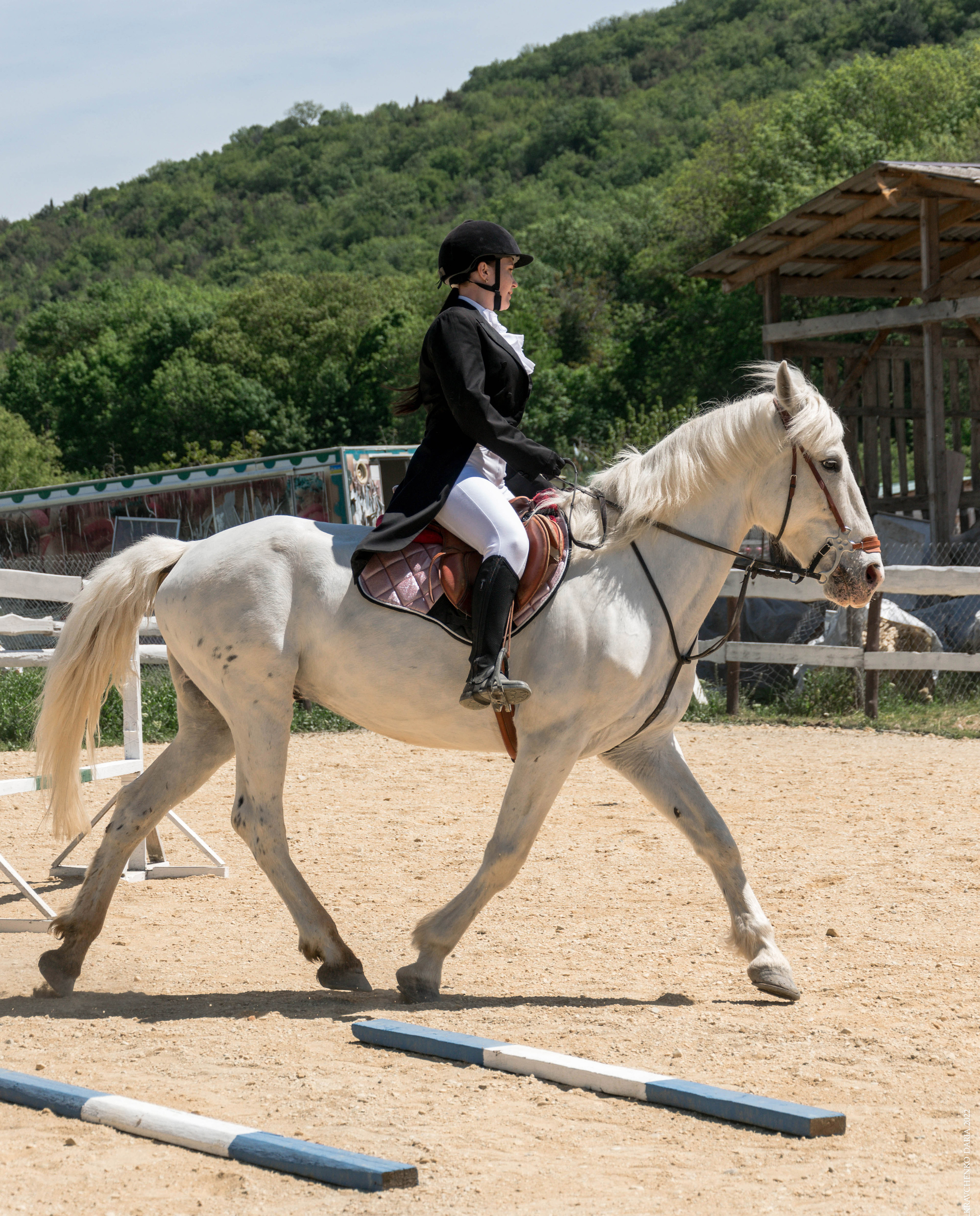 Соревнования в клубе «Реактив». Фотограф в Севастополе