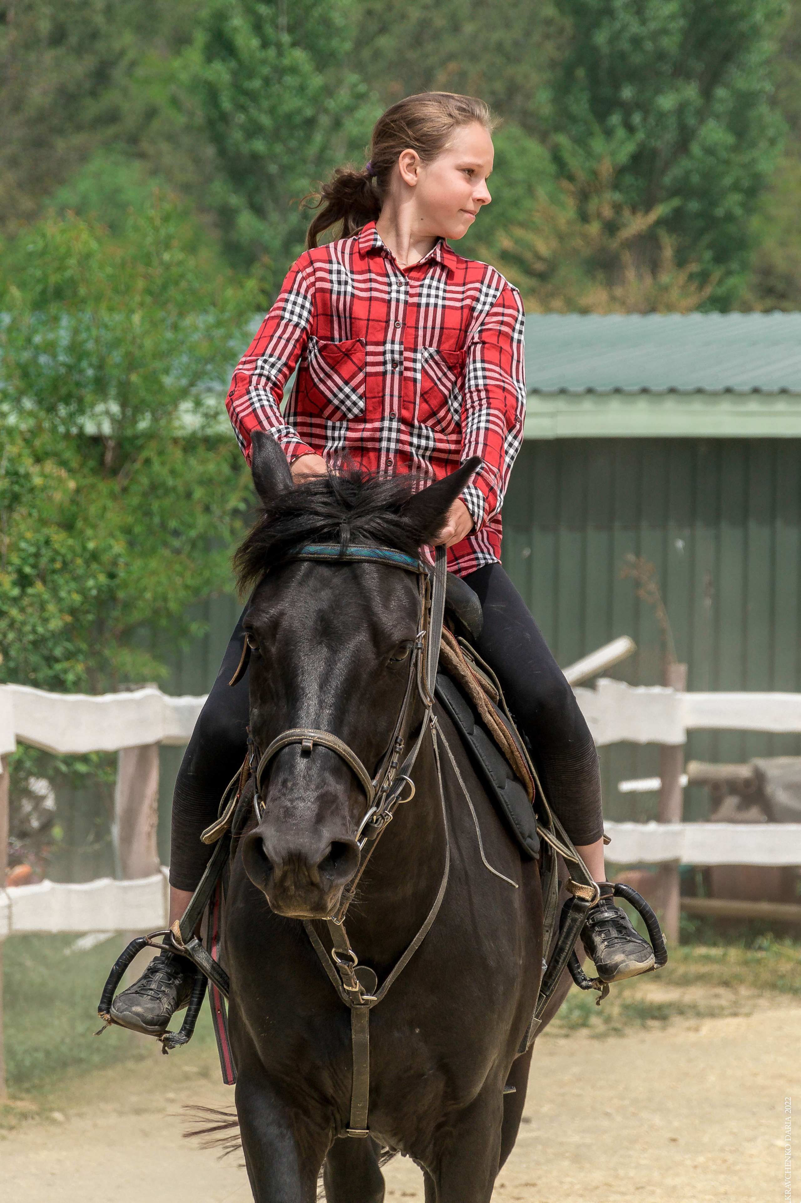 Соревнования в клубе «Реактив». Фотограф в Севастополе
