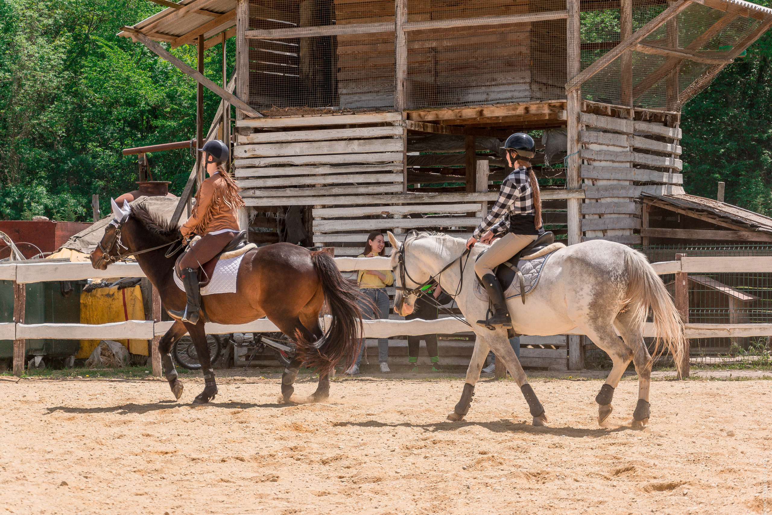 Соревнования в клубе «Реактив». Фотограф в Севастополе