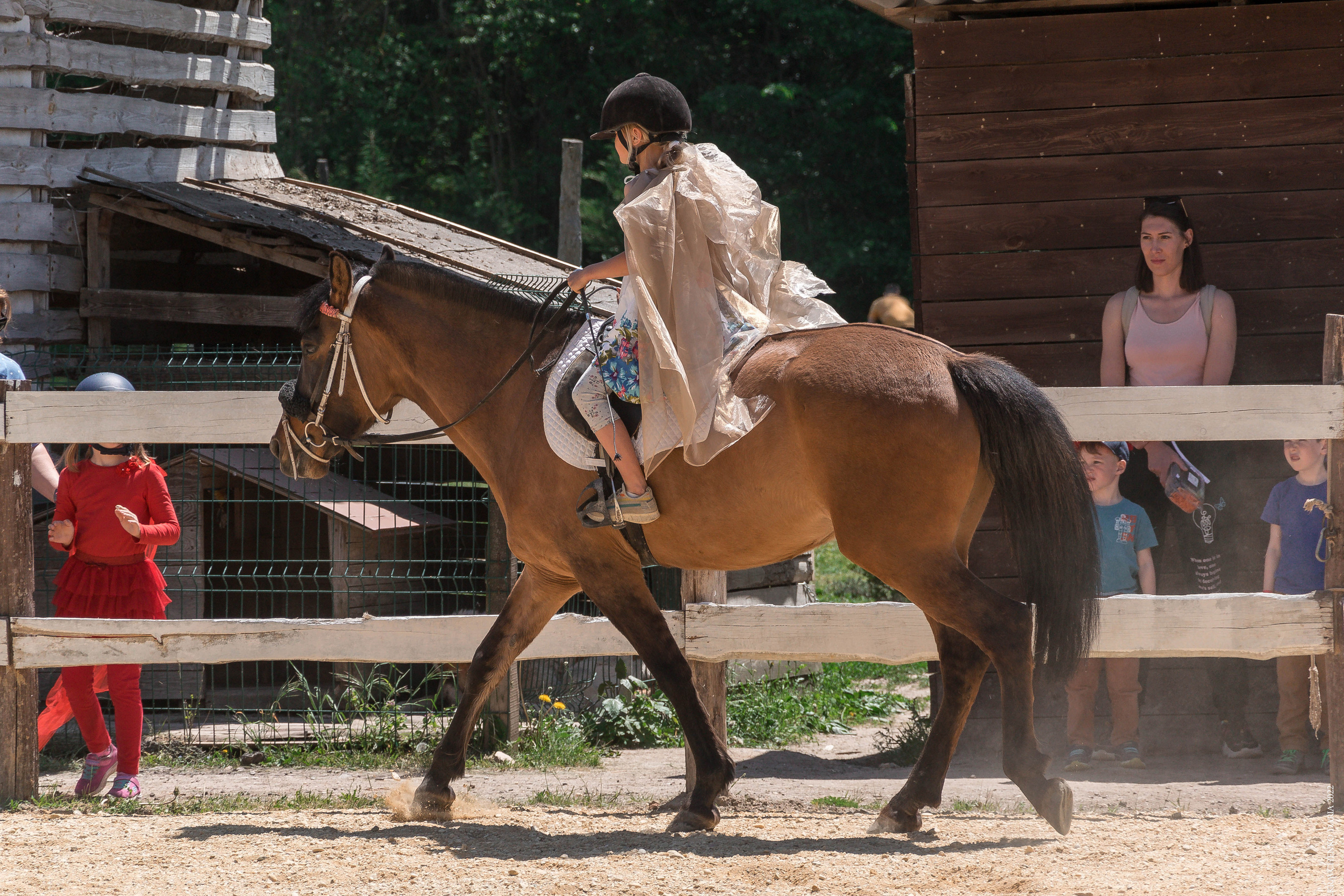 Соревнования в клубе «Реактив». Фотограф в Севастополе