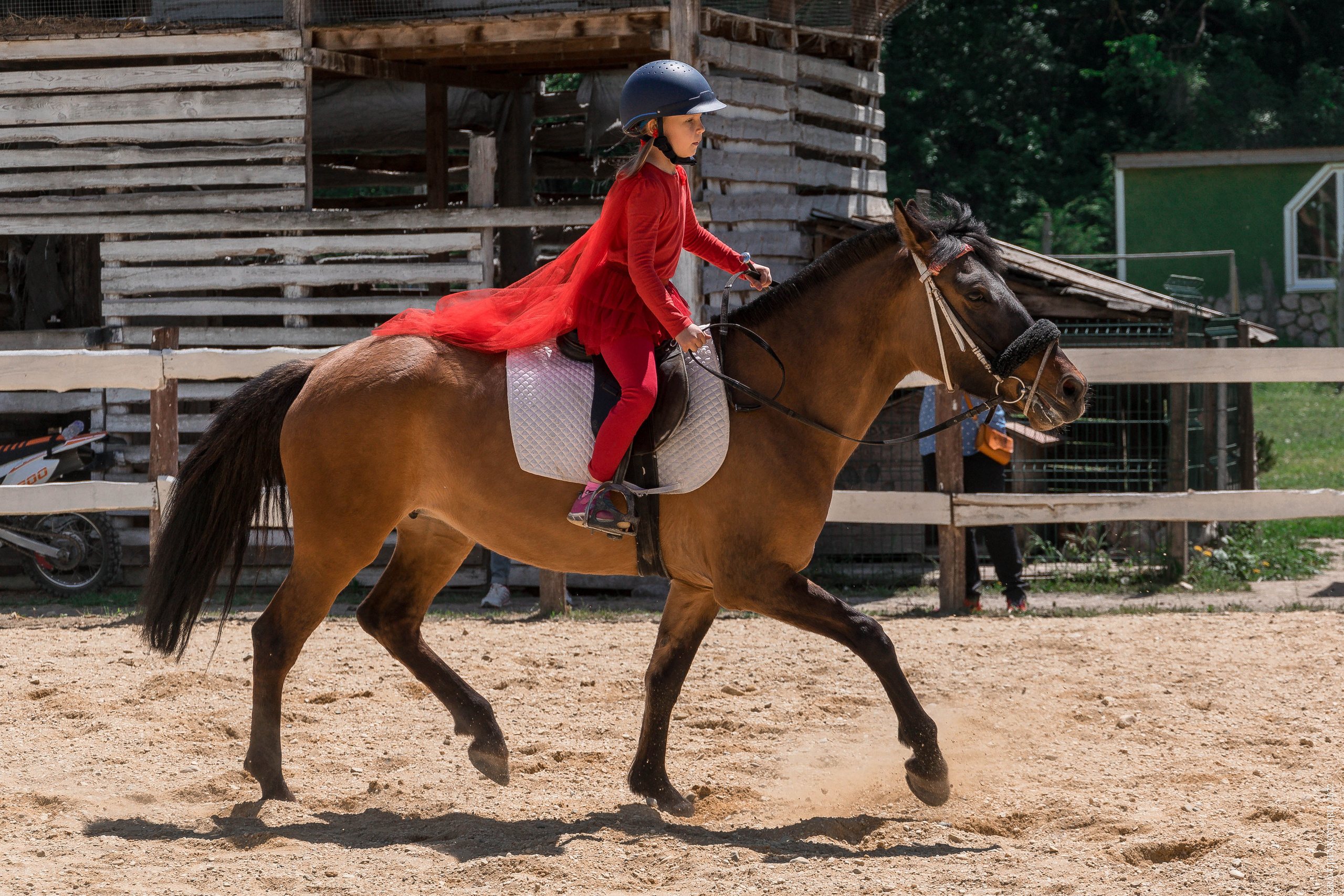 Соревнования в клубе «Реактив». Фотограф в Севастополе