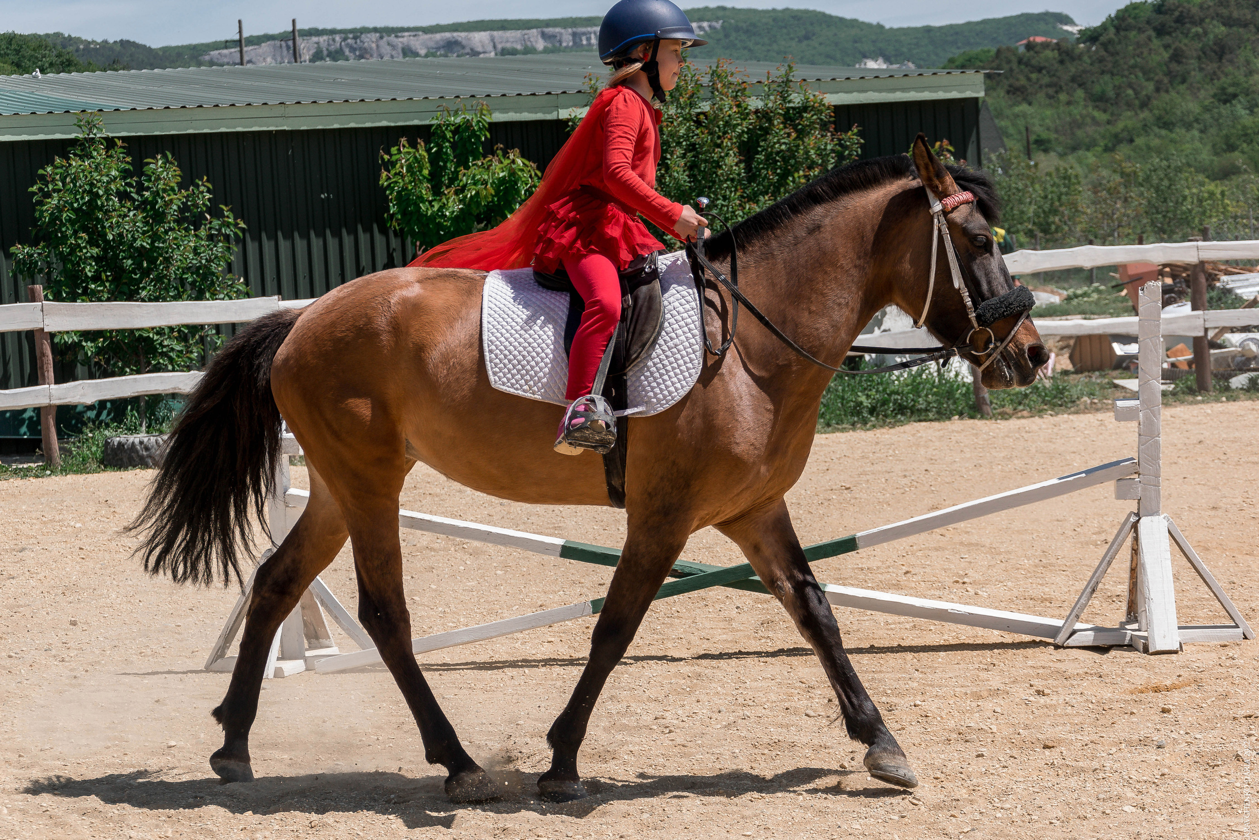 Соревнования в клубе «Реактив». Фотограф в Севастополе