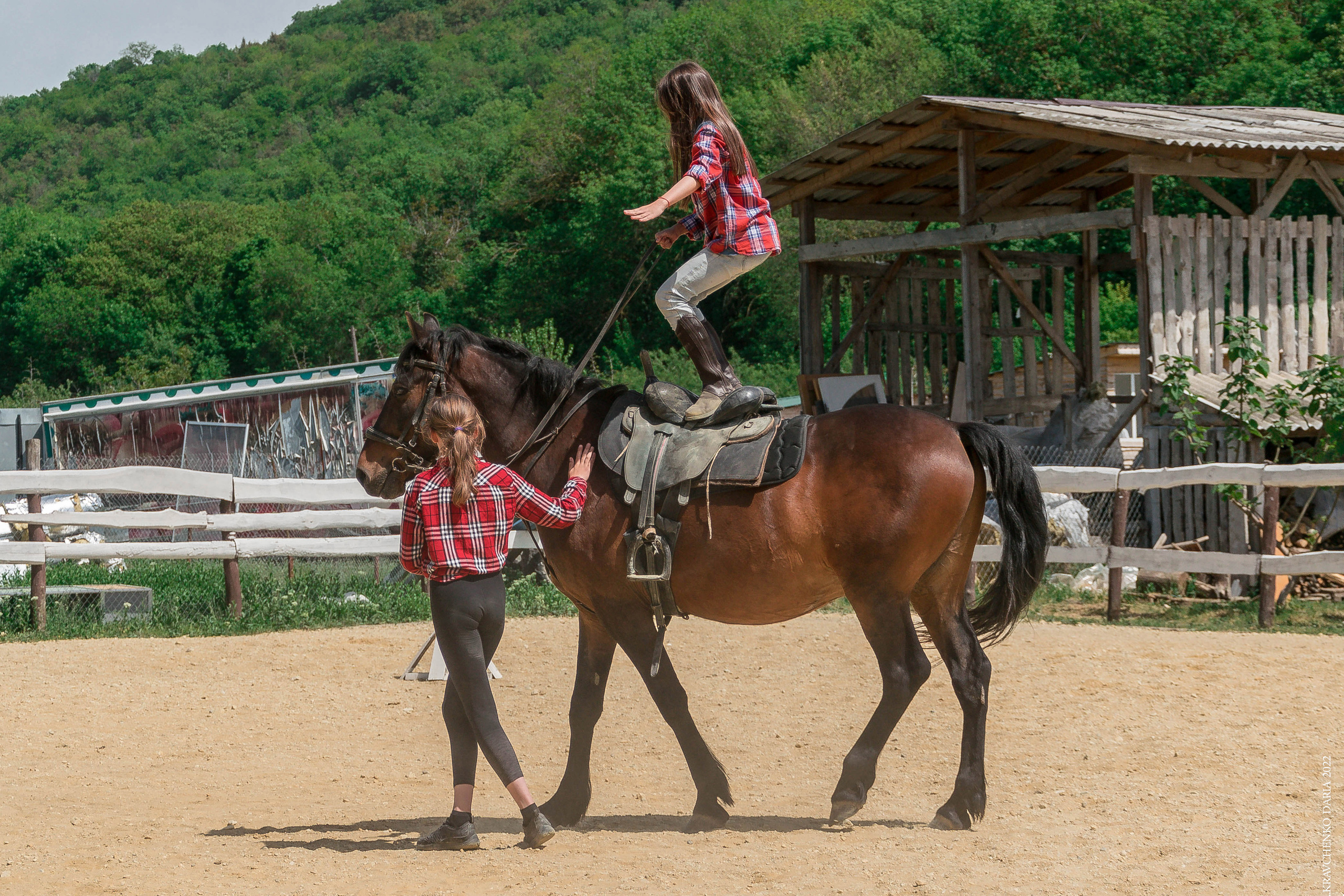 Соревнования в клубе «Реактив». Фотограф в Севастополе