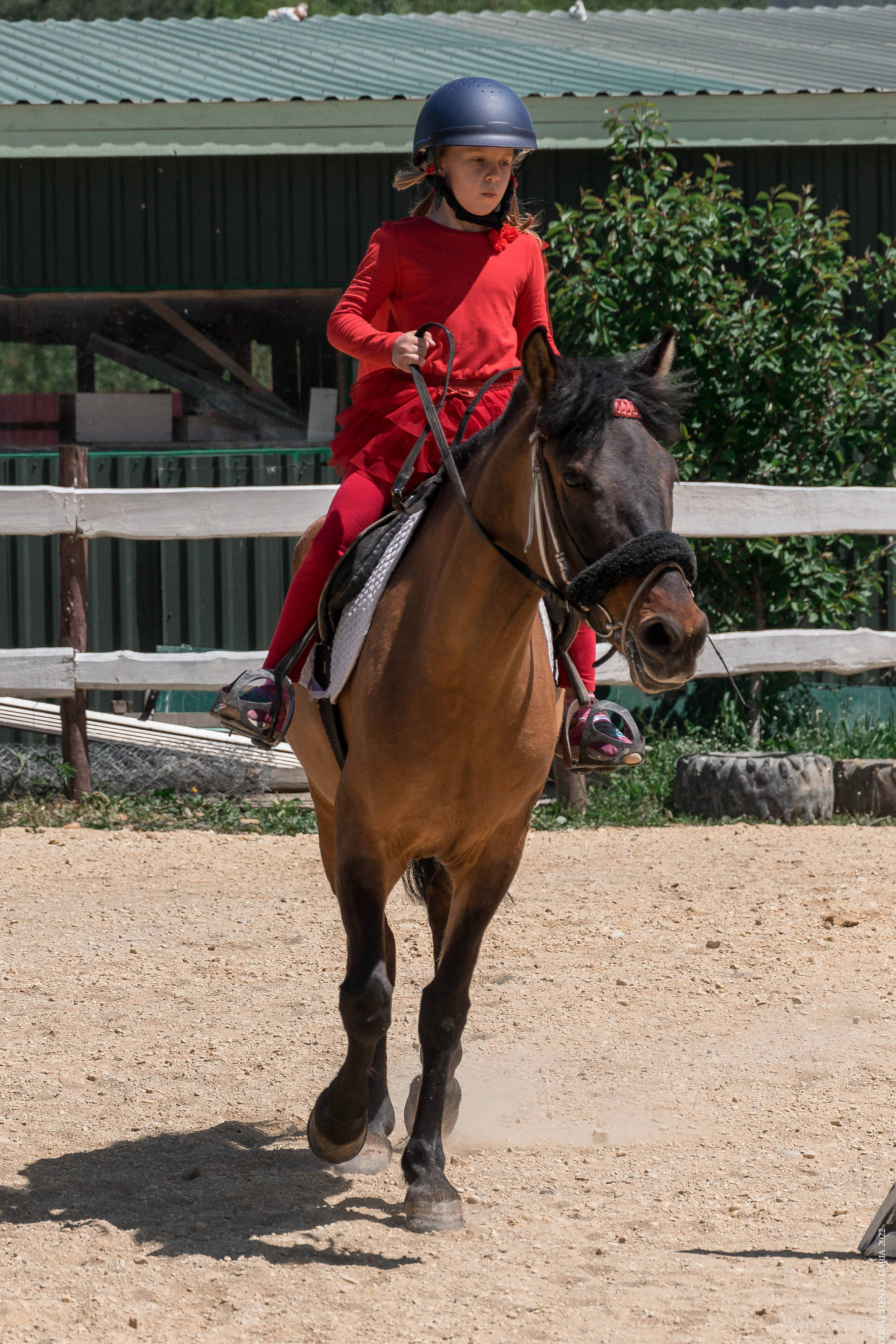 Соревнования в клубе «Реактив». Фотограф в Севастополе
