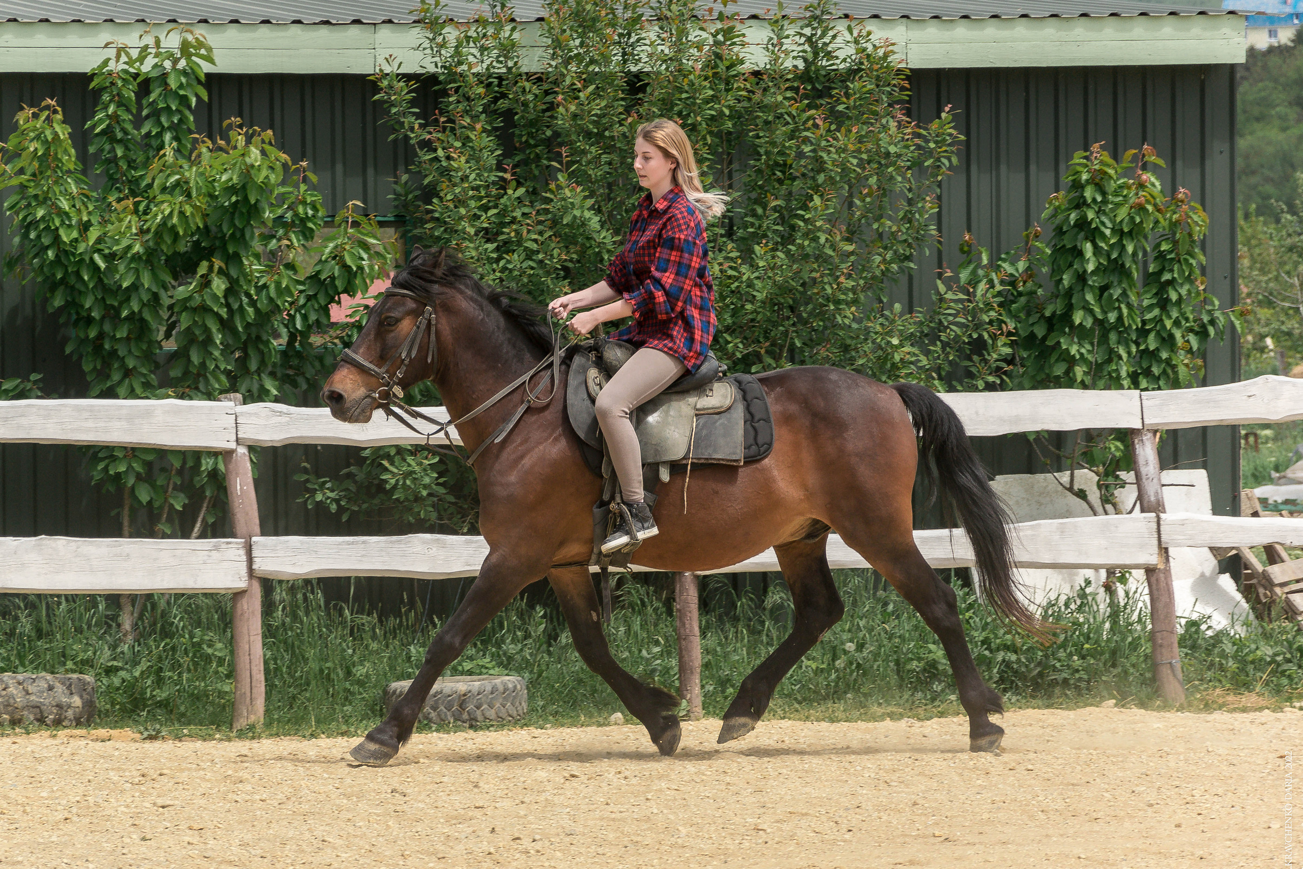 Соревнования в клубе «Реактив». Фотограф в Севастополе