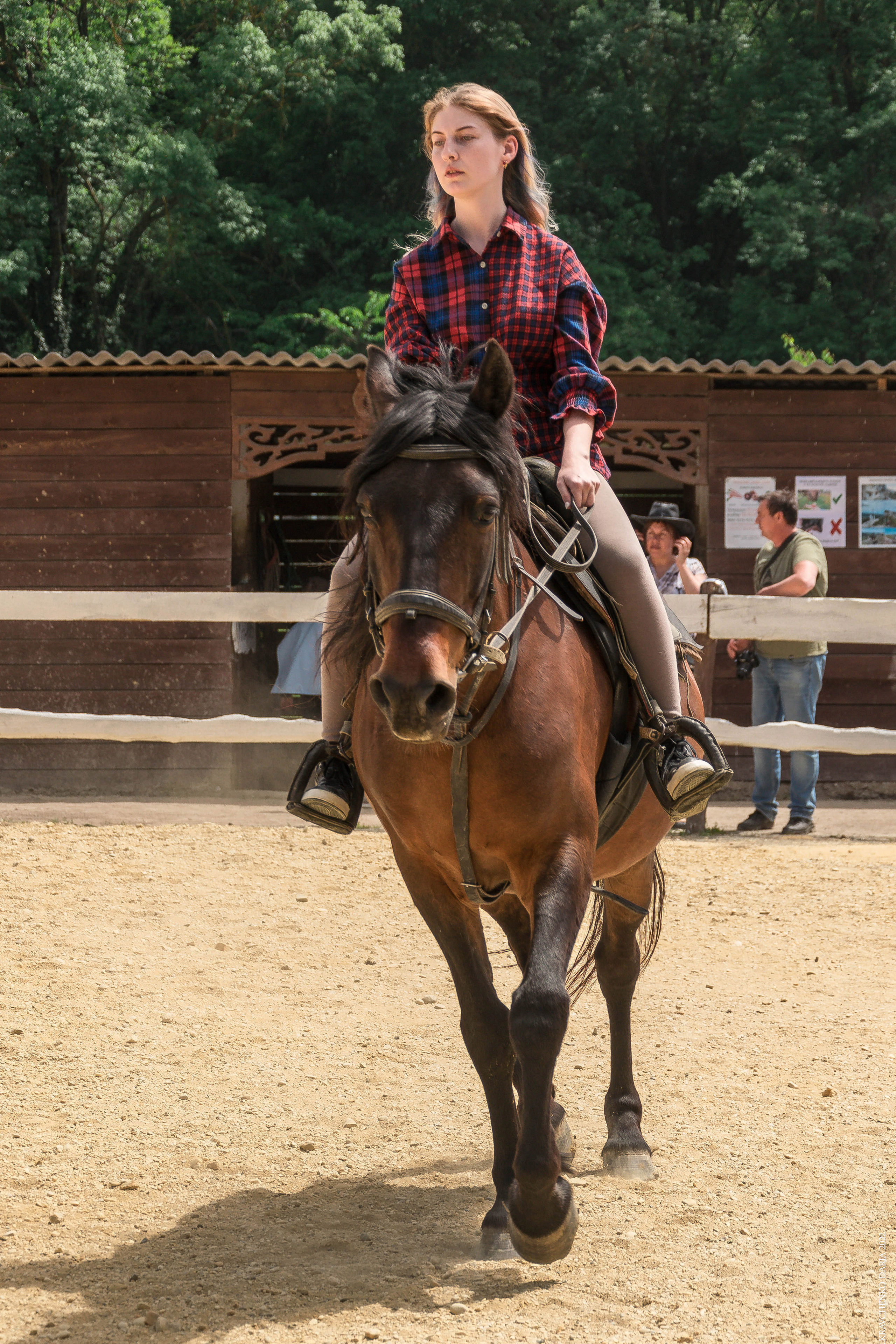 Соревнования в клубе «Реактив». Фотограф в Севастополе