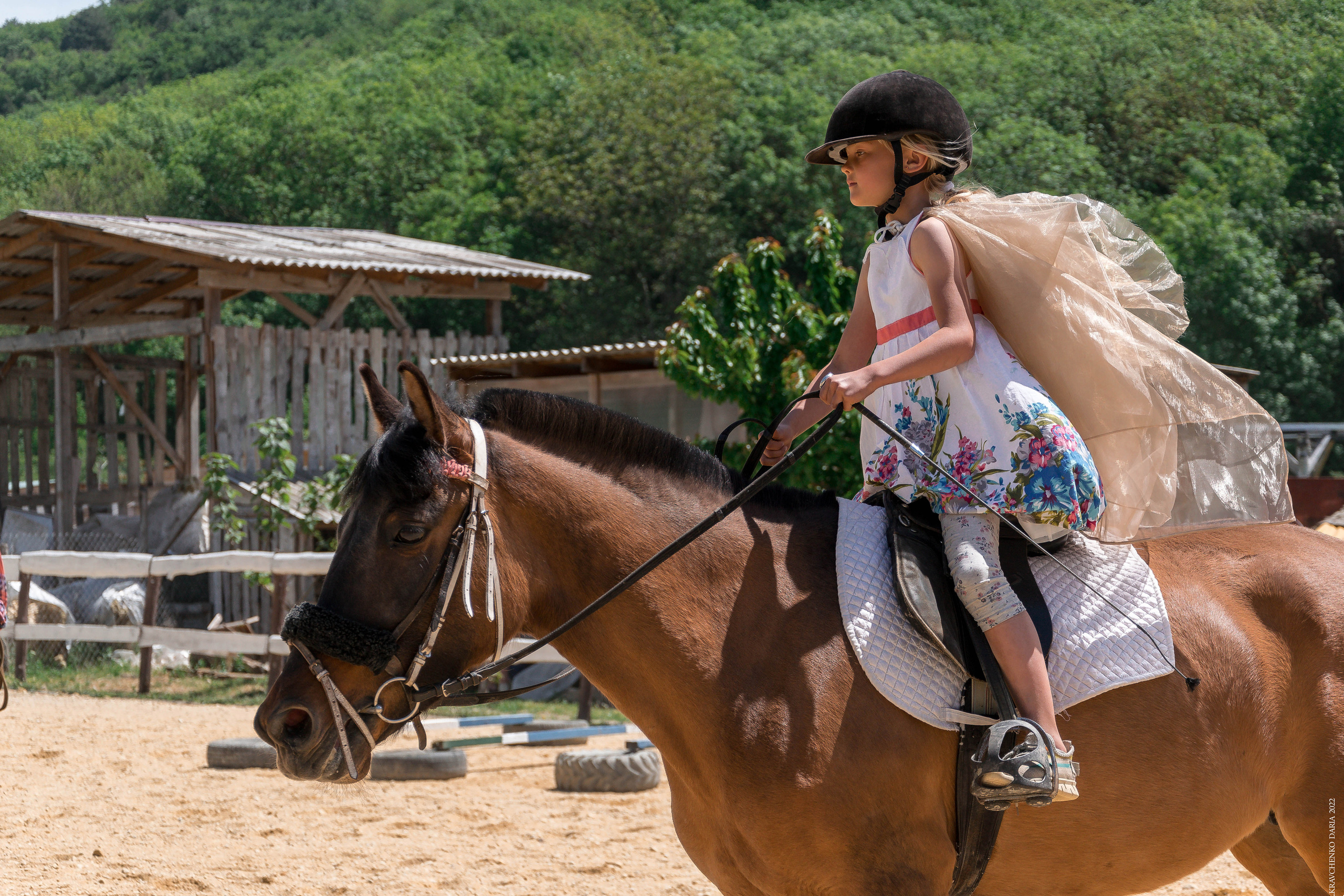 Соревнования в клубе «Реактив». Фотограф в Севастополе
