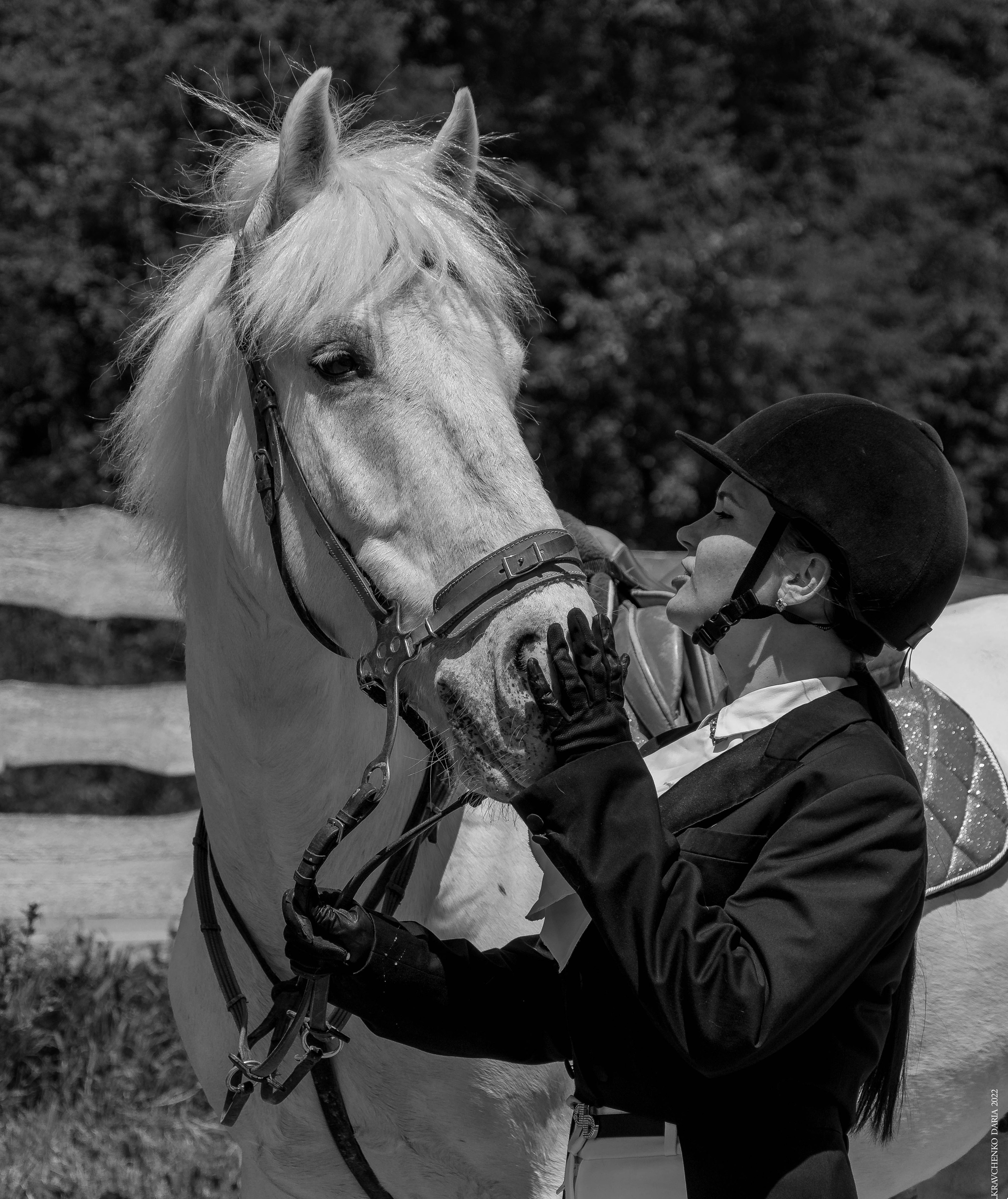Соревнования в клубе «Реактив». Фотограф в Севастополе