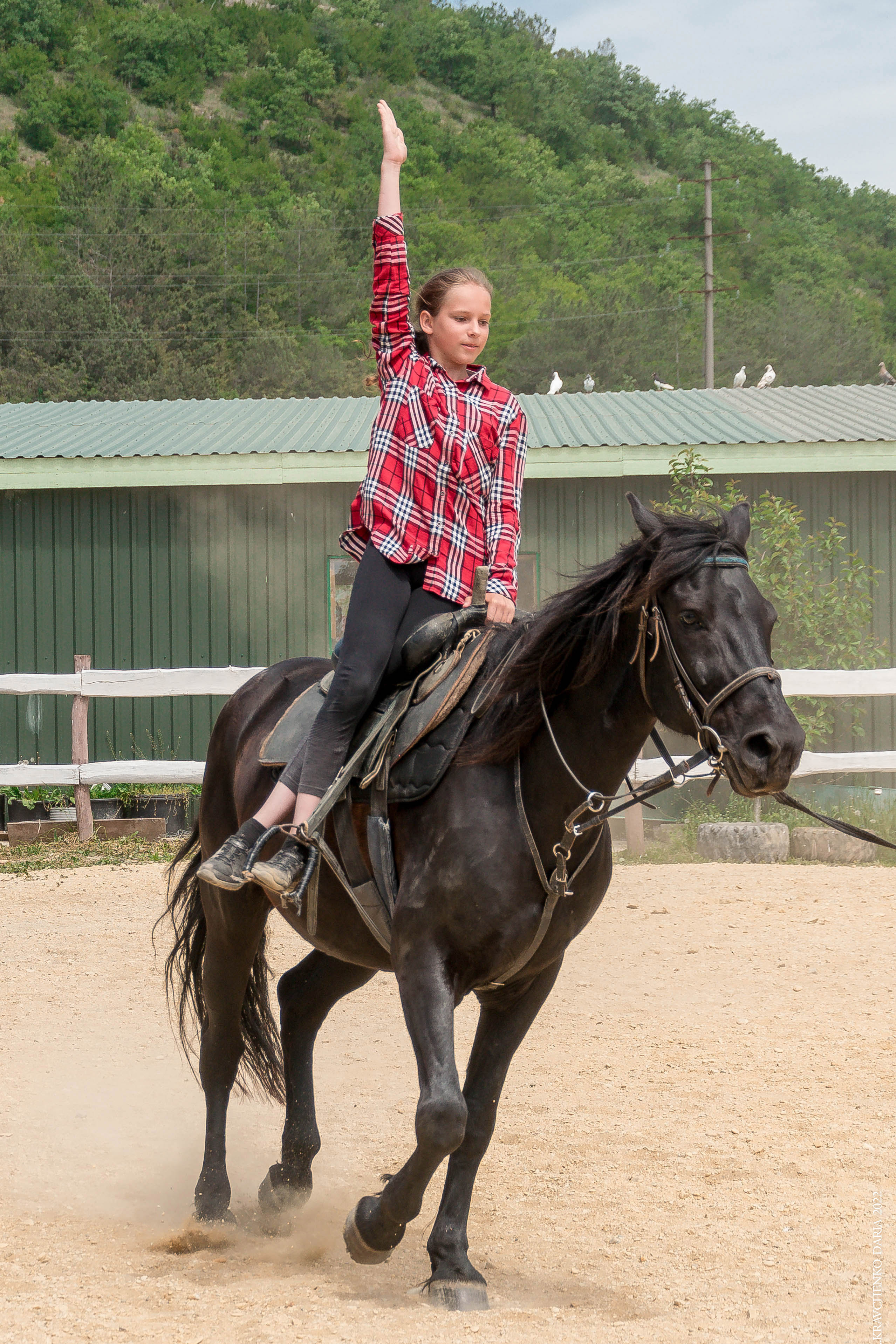 Соревнования в клубе «Реактив». Фотограф в Севастополе