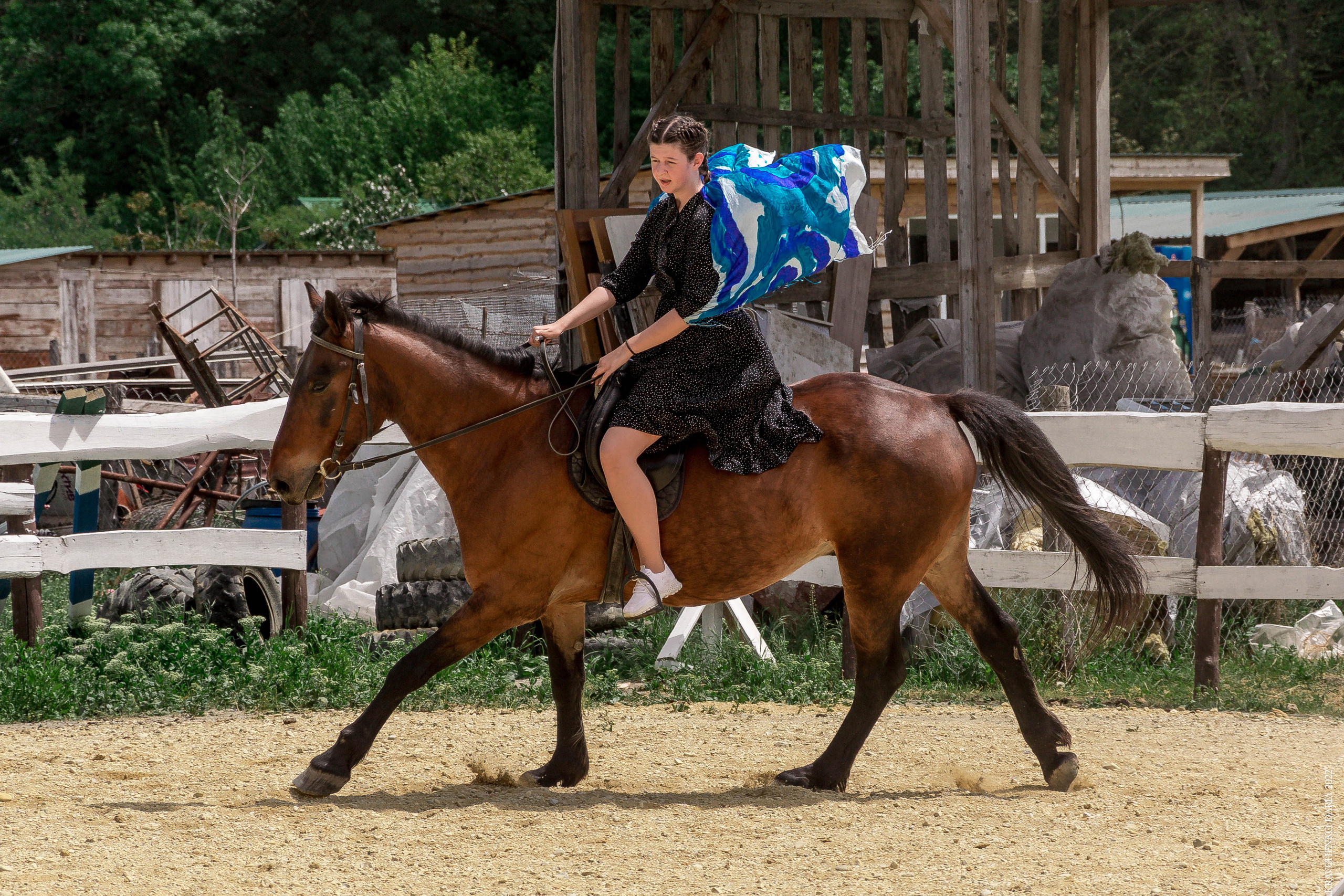 Соревнования в клубе «Реактив». Фотограф в Севастополе