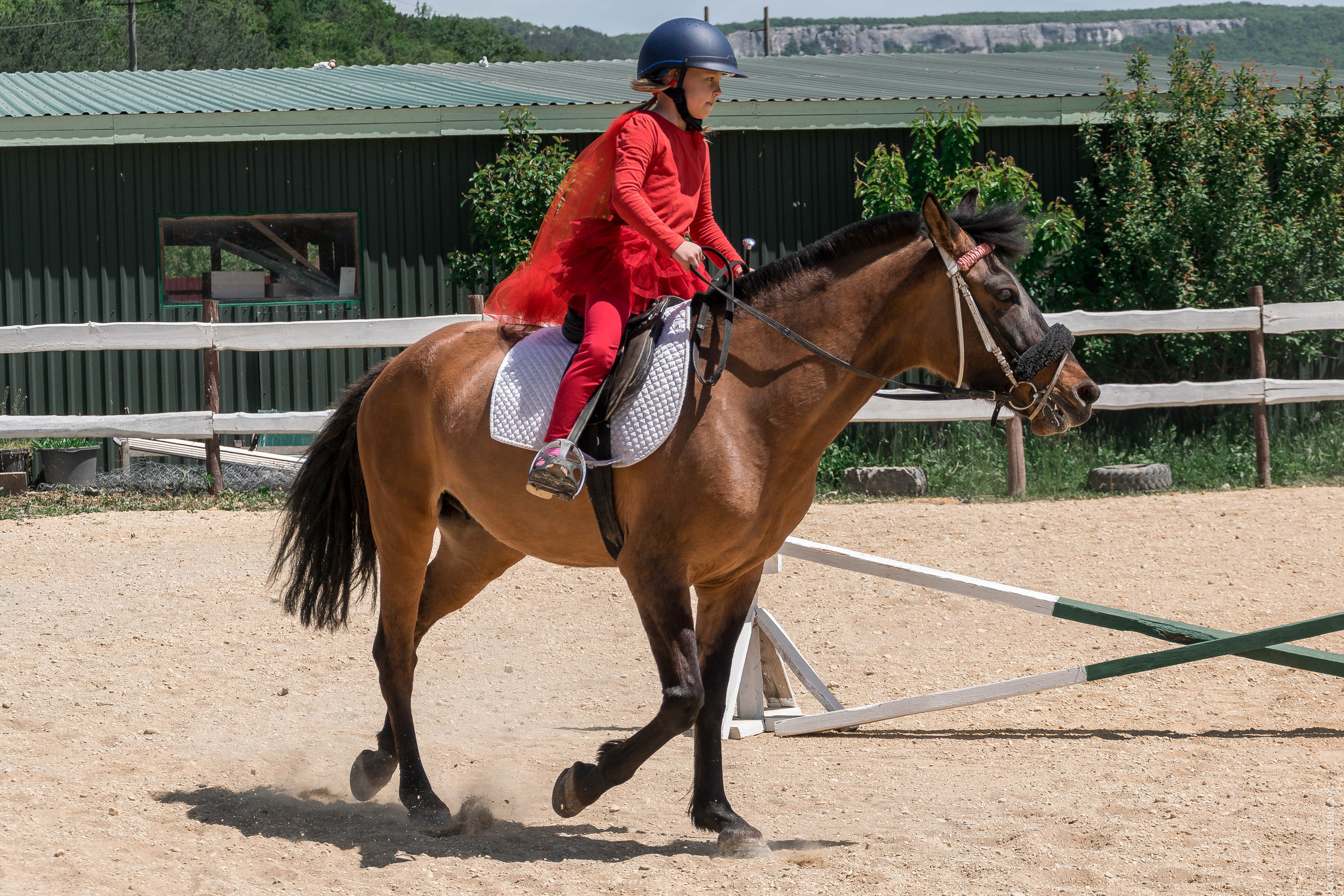 Соревнования в клубе «Реактив». Фотограф в Севастополе
