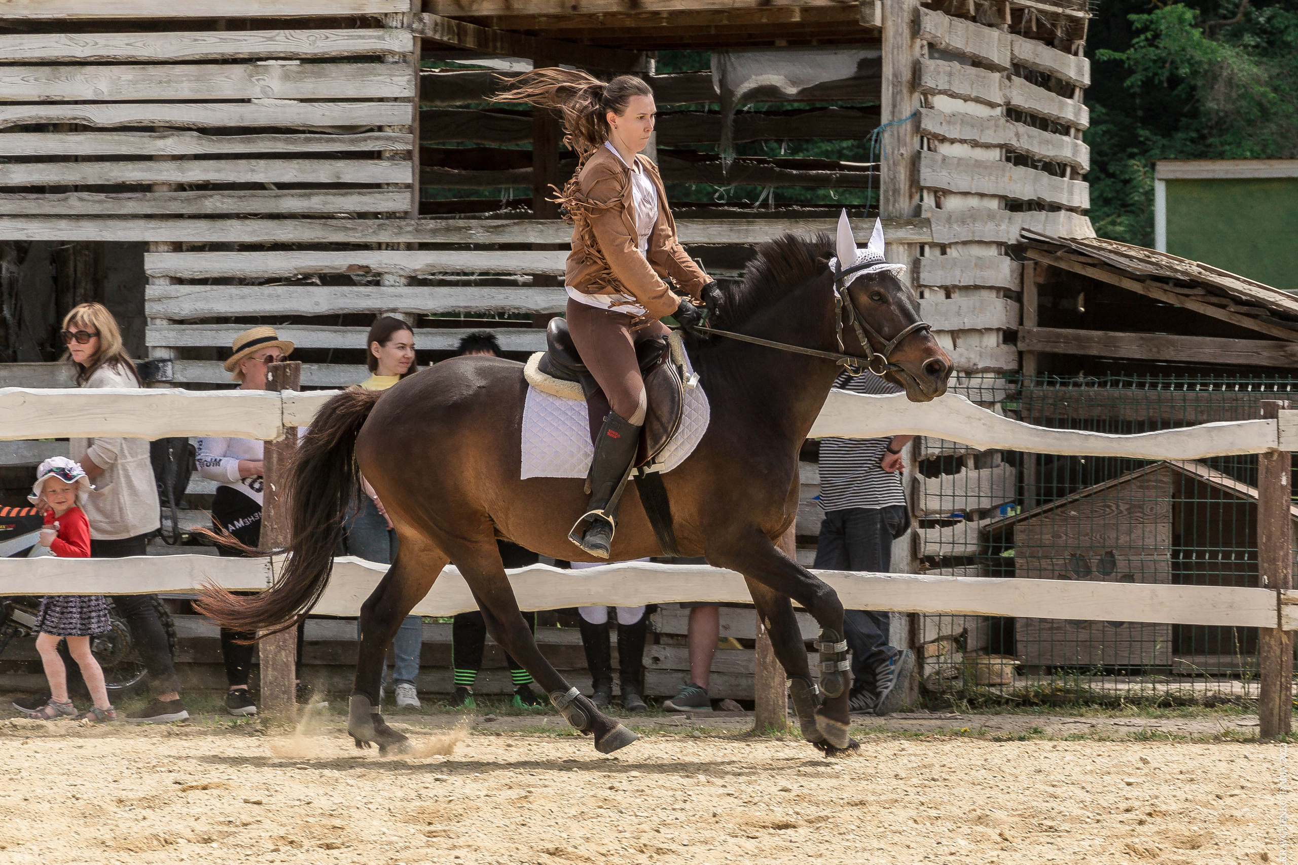 Соревнования в клубе «Реактив». Фотограф в Севастополе
