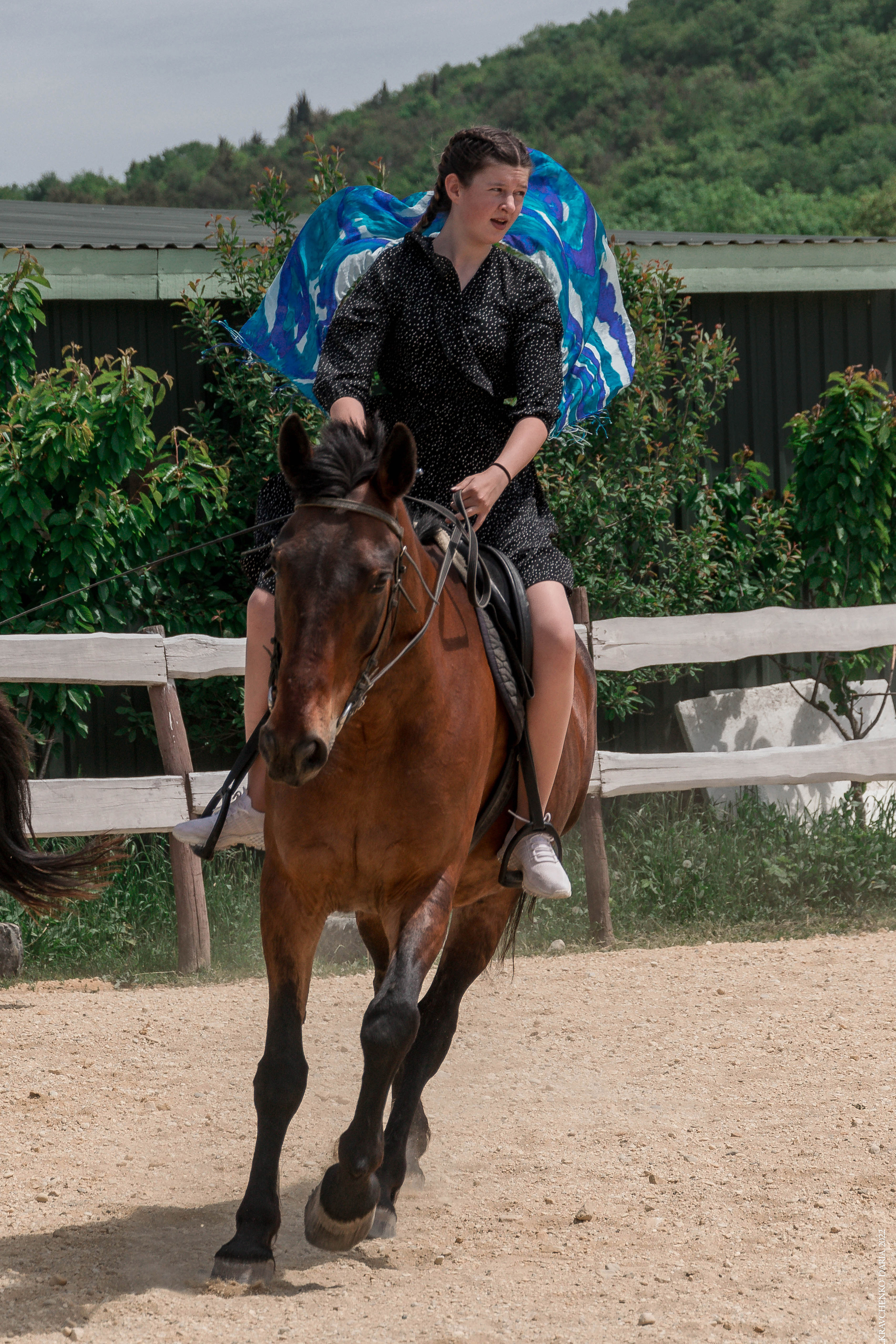 Соревнования в клубе «Реактив». Фотограф в Севастополе