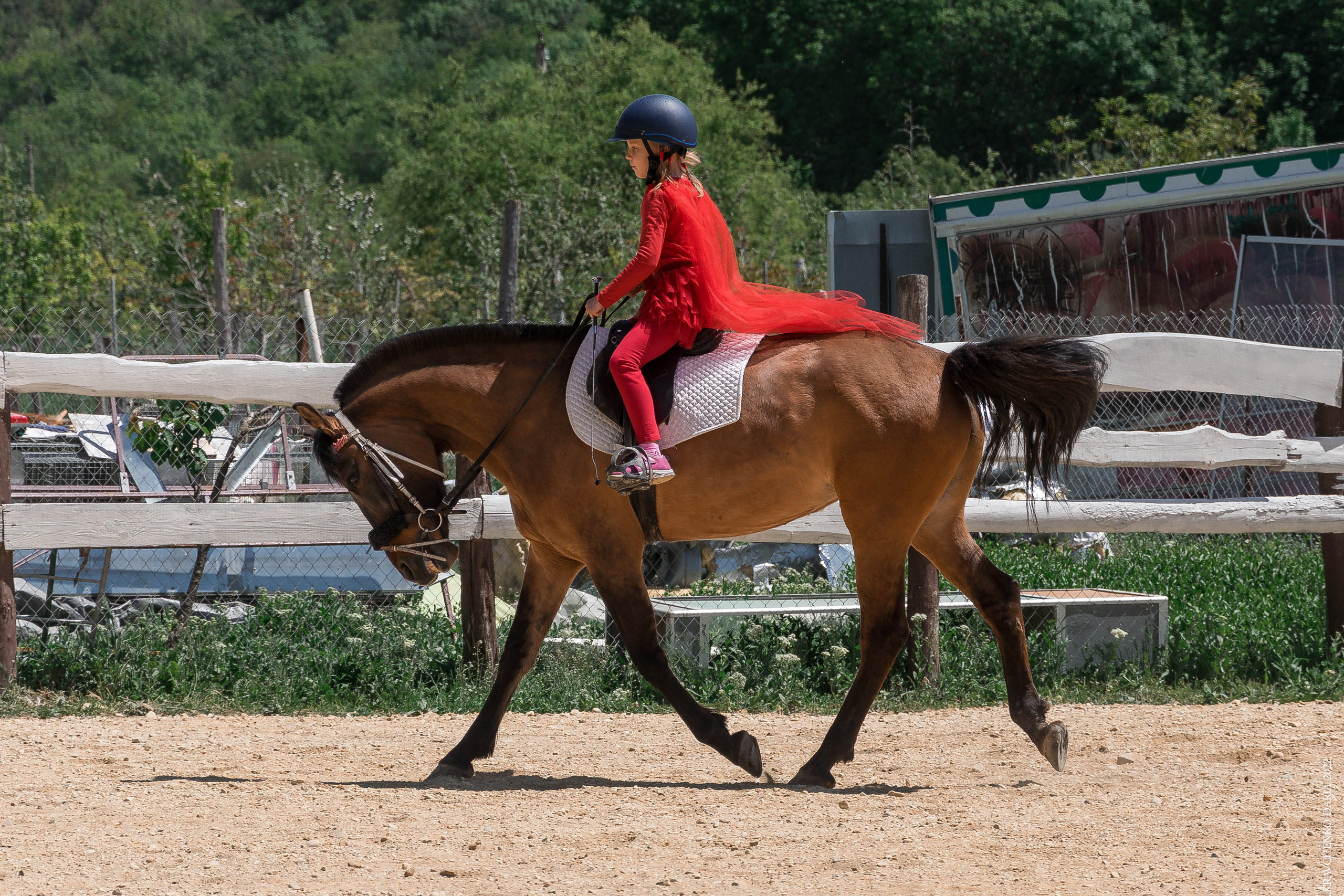 Соревнования в клубе «Реактив». Фотограф в Севастополе