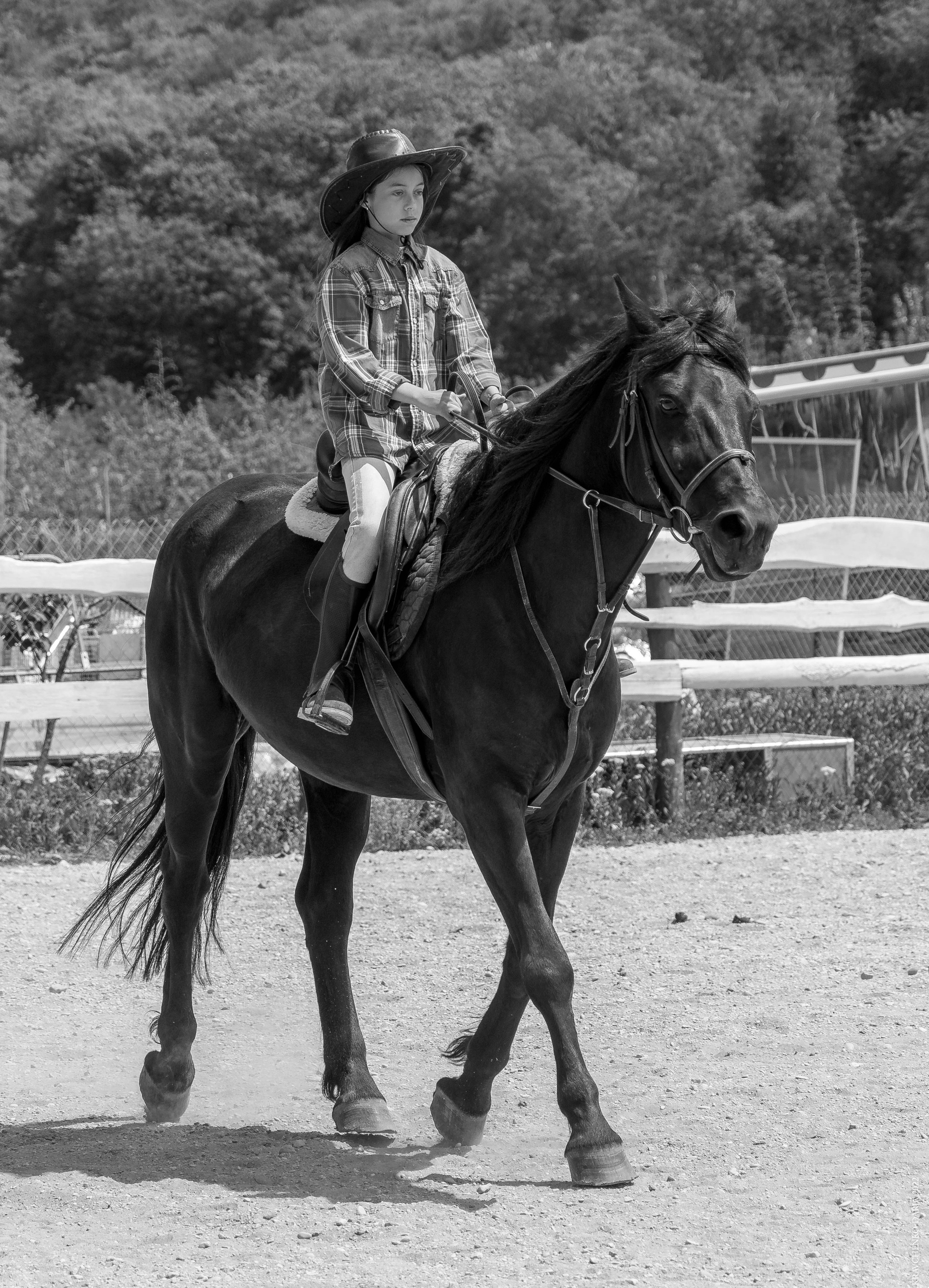 Соревнования в клубе «Реактив». Фотограф в Севастополе