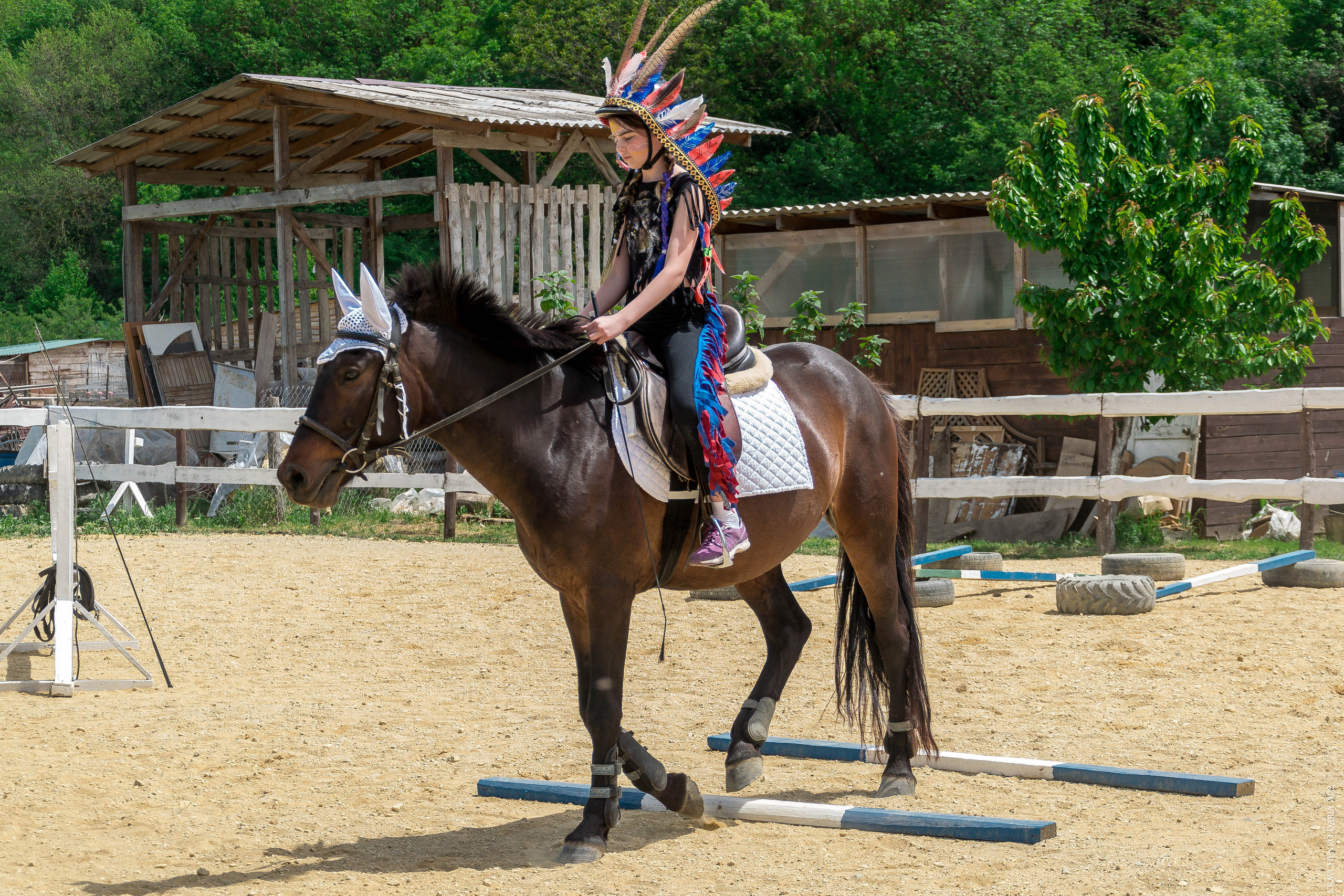 Соревнования в клубе «Реактив». Фотограф в Севастополе