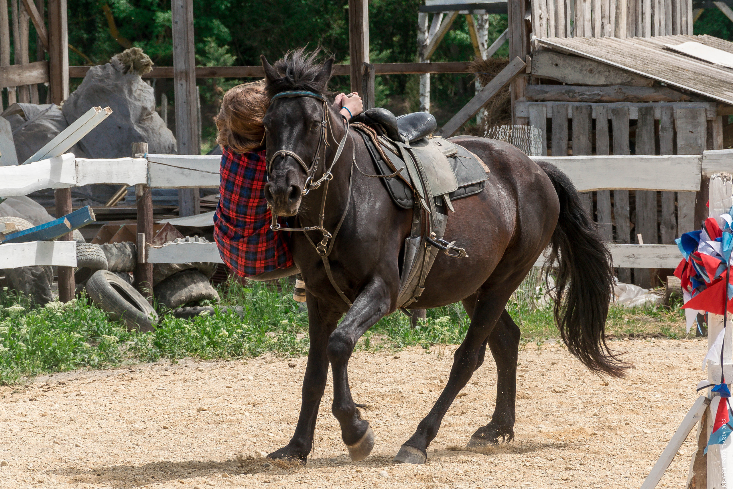 Соревнования в клубе «Реактив». Фотограф в Севастополе