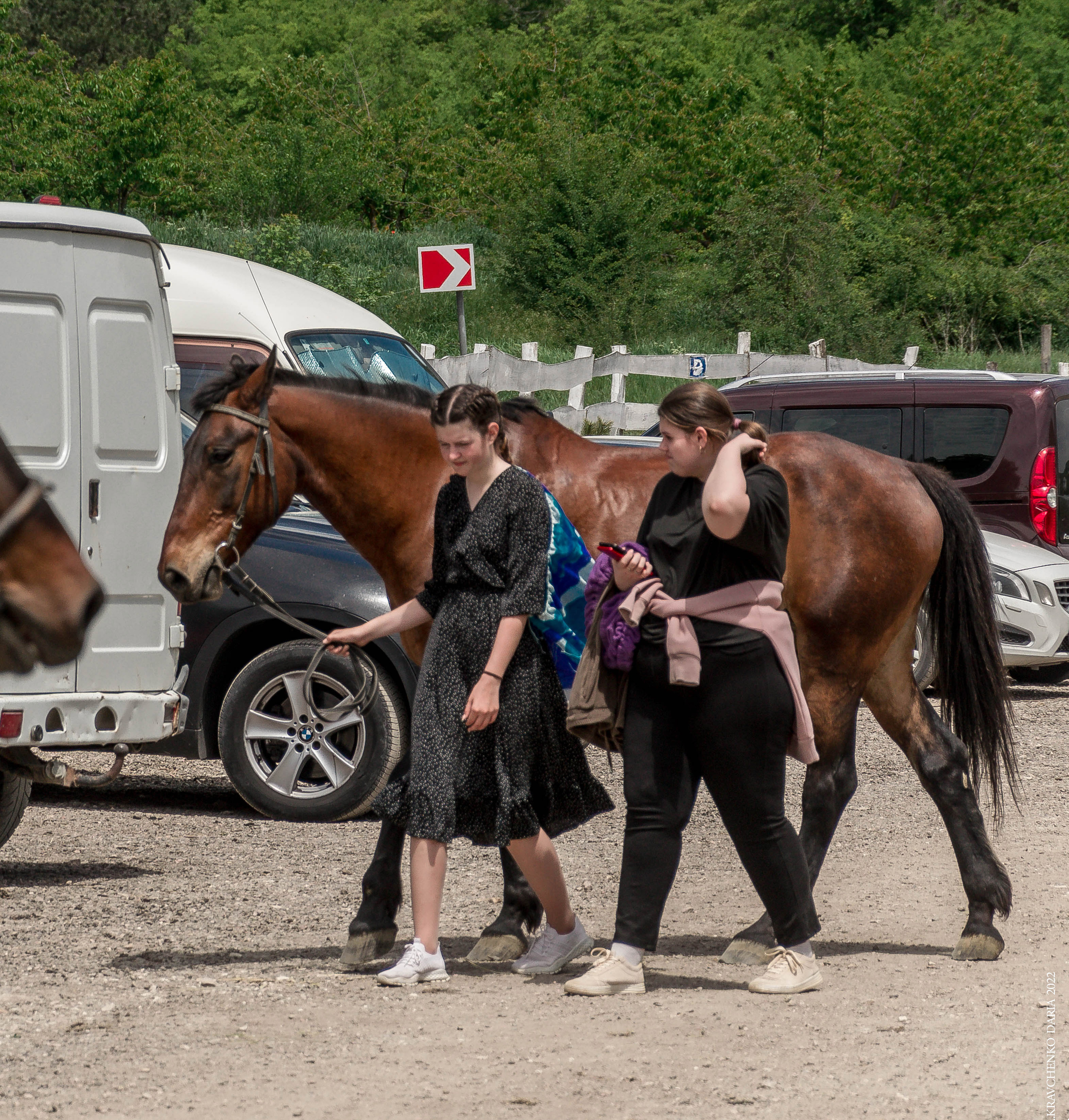 Соревнования в клубе «Реактив». Фотограф в Севастополе
