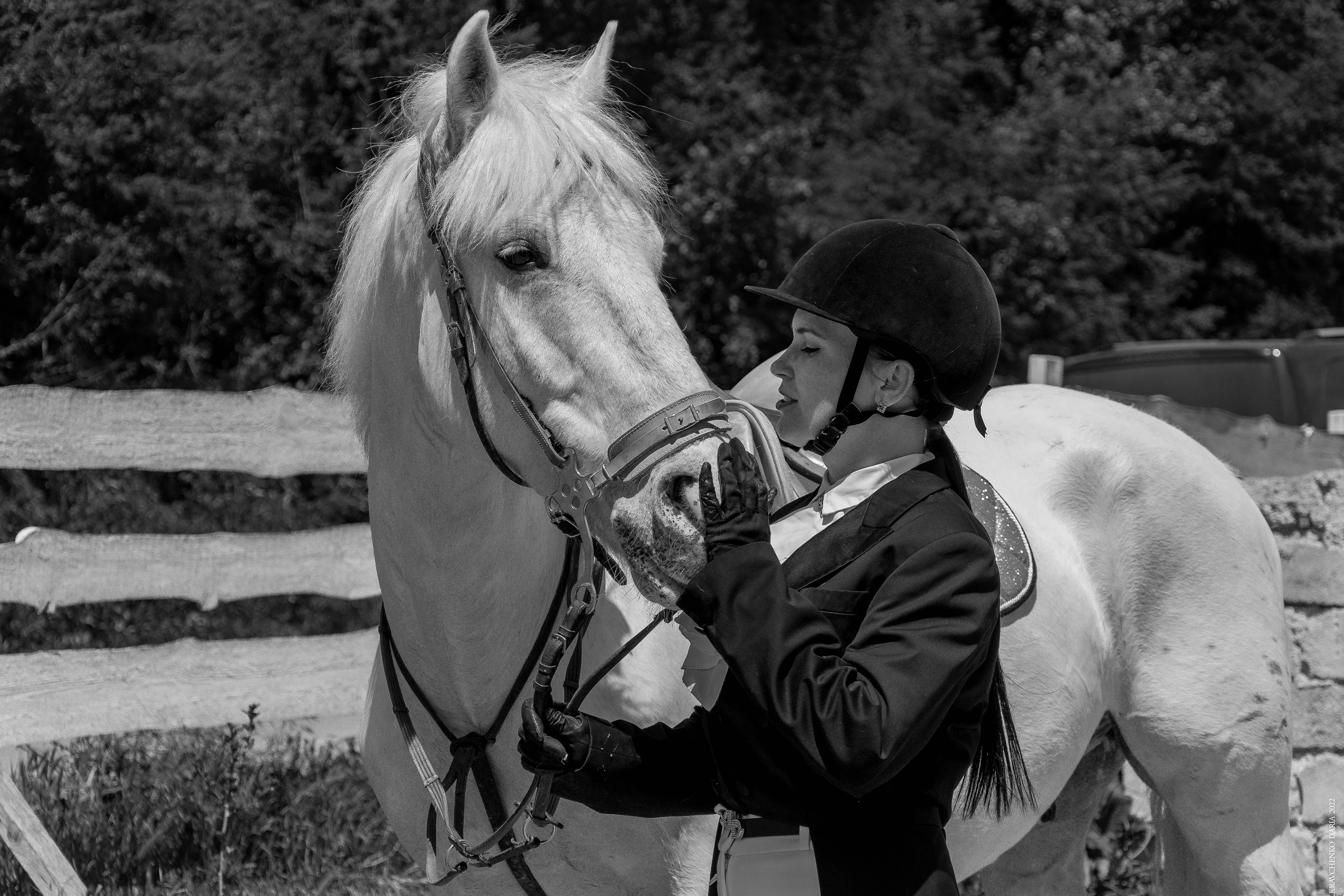 Соревнования в клубе «Реактив». Фотограф в Севастополе