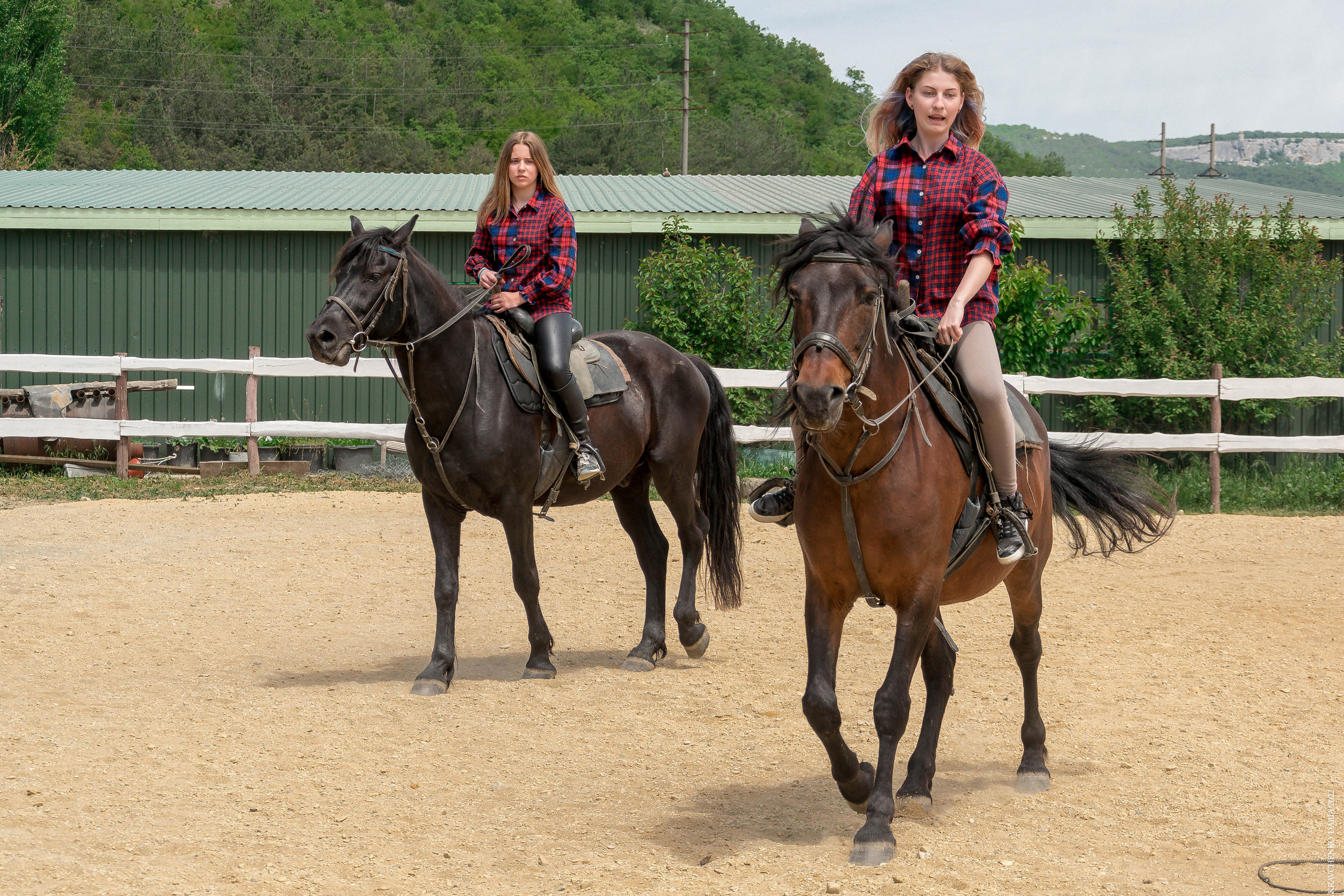 Соревнования в клубе «Реактив». Фотограф в Севастополе