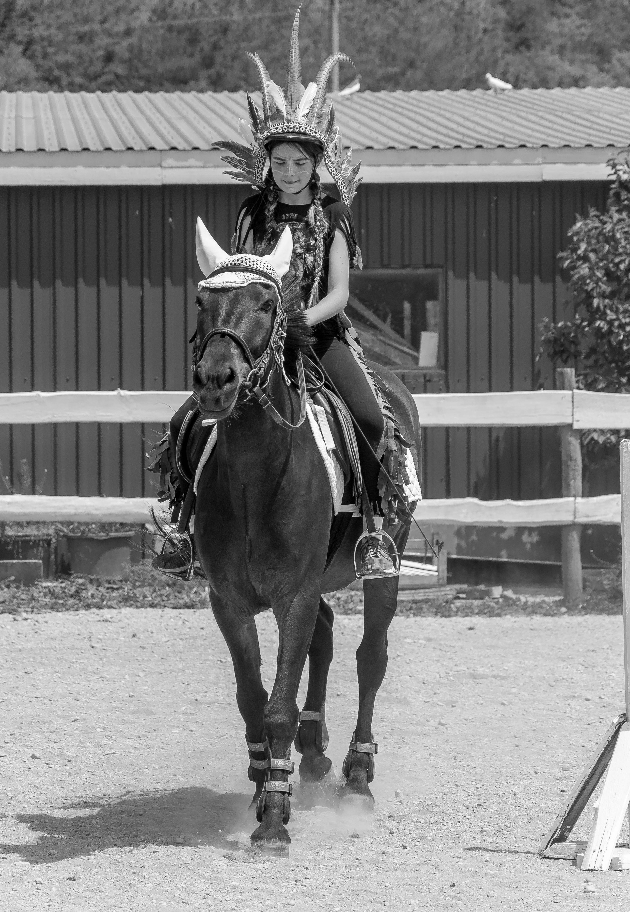 Соревнования в клубе «Реактив». Фотограф в Севастополе