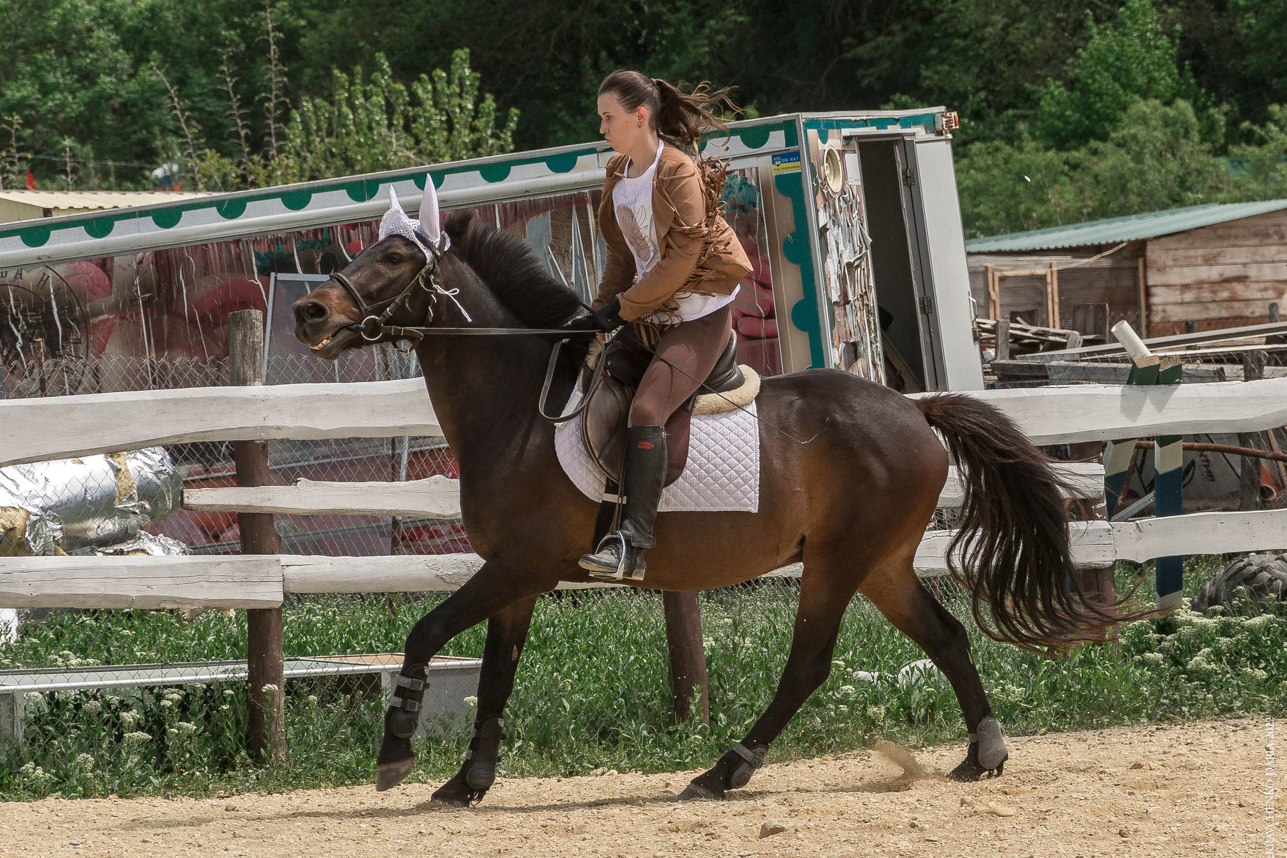 Соревнования в клубе «Реактив». Фотограф в Севастополе