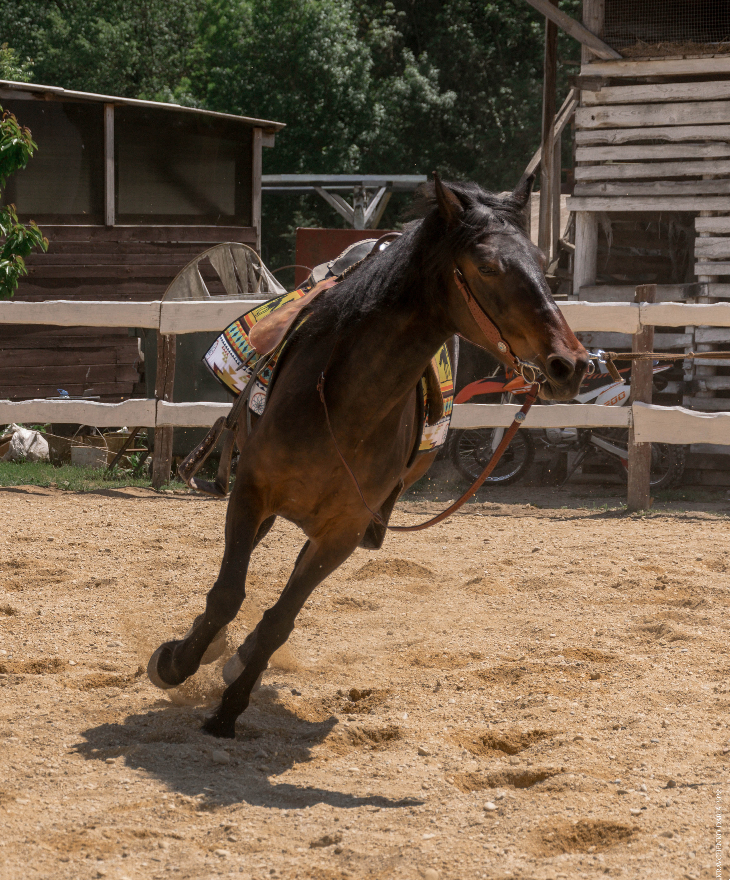 Соревнования в клубе «Реактив». Фотограф в Севастополе
