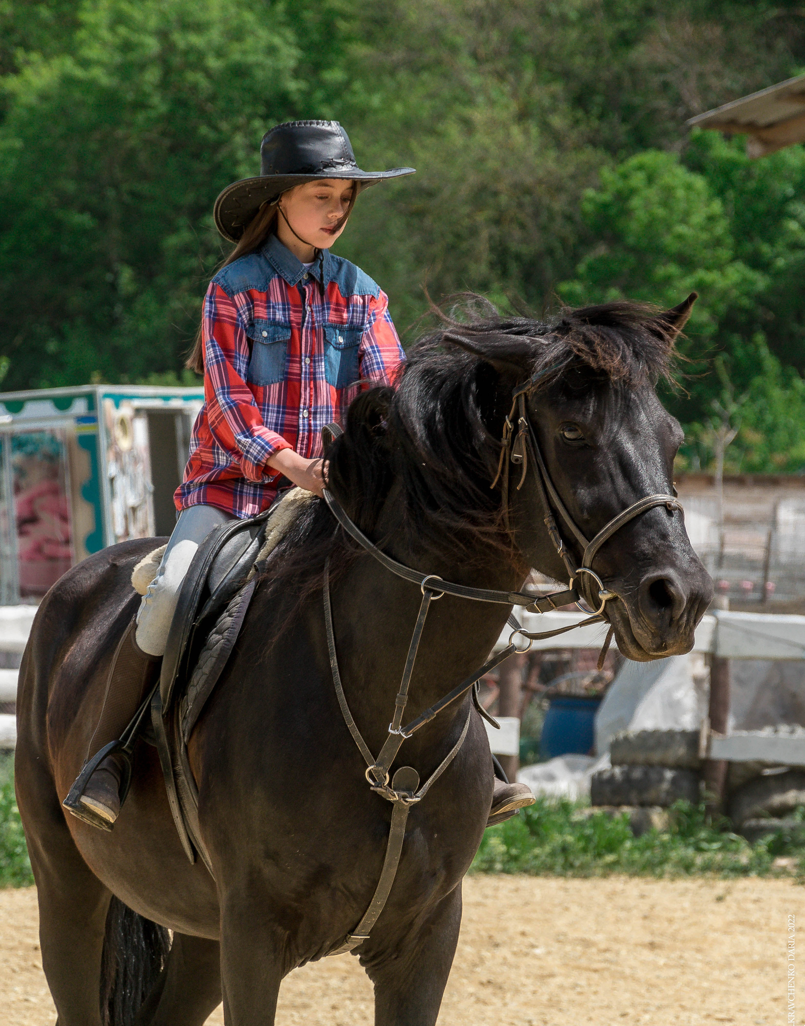 Соревнования в клубе «Реактив». Фотограф в Севастополе