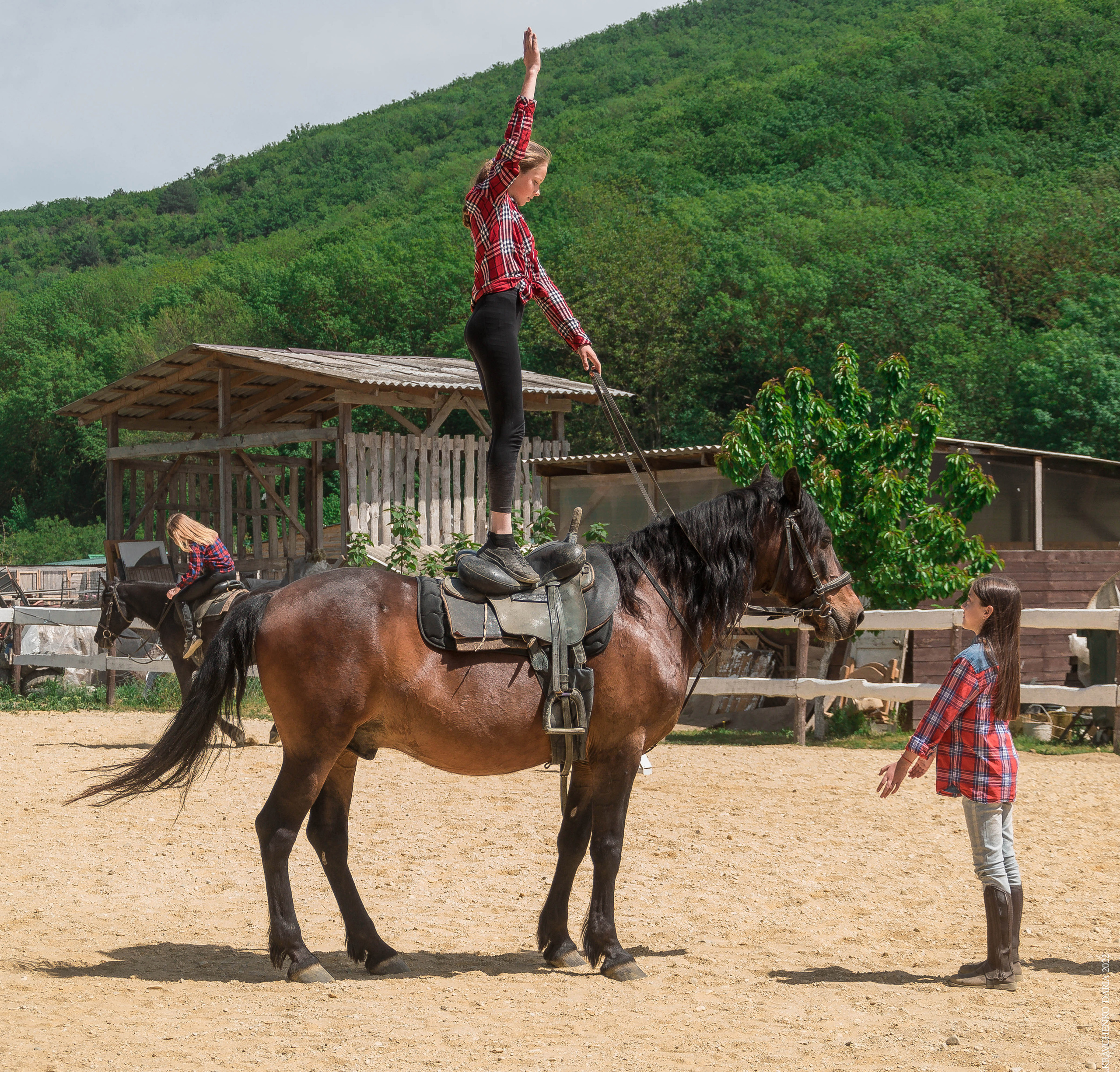 Соревнования в клубе «Реактив». Фотограф в Севастополе