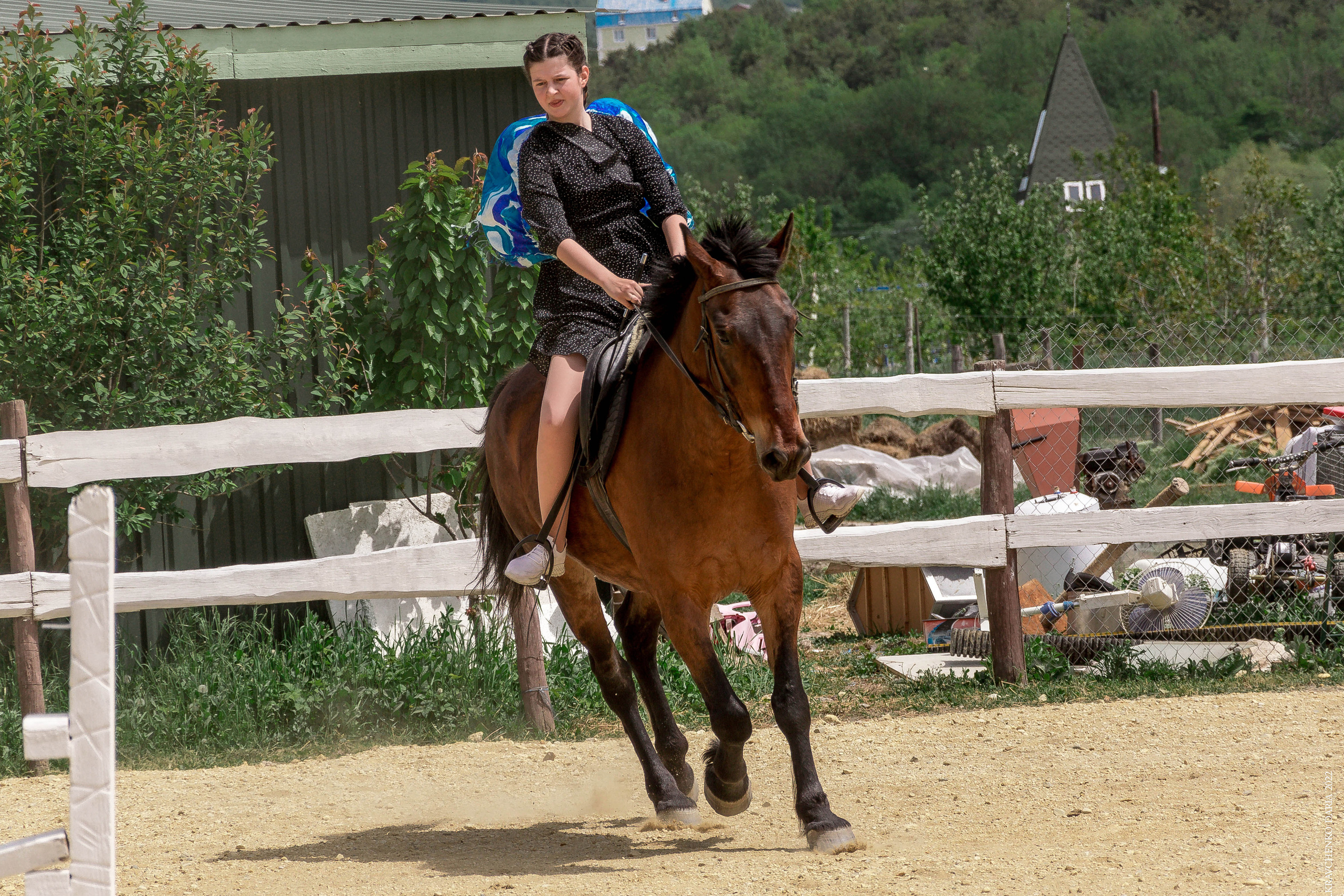 Соревнования в клубе «Реактив». Фотограф в Севастополе