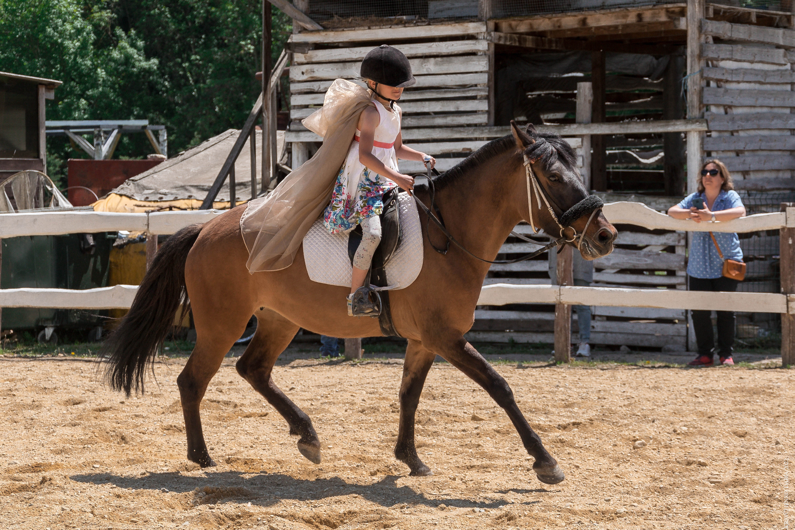 Соревнования в клубе «Реактив». Фотограф в Севастополе