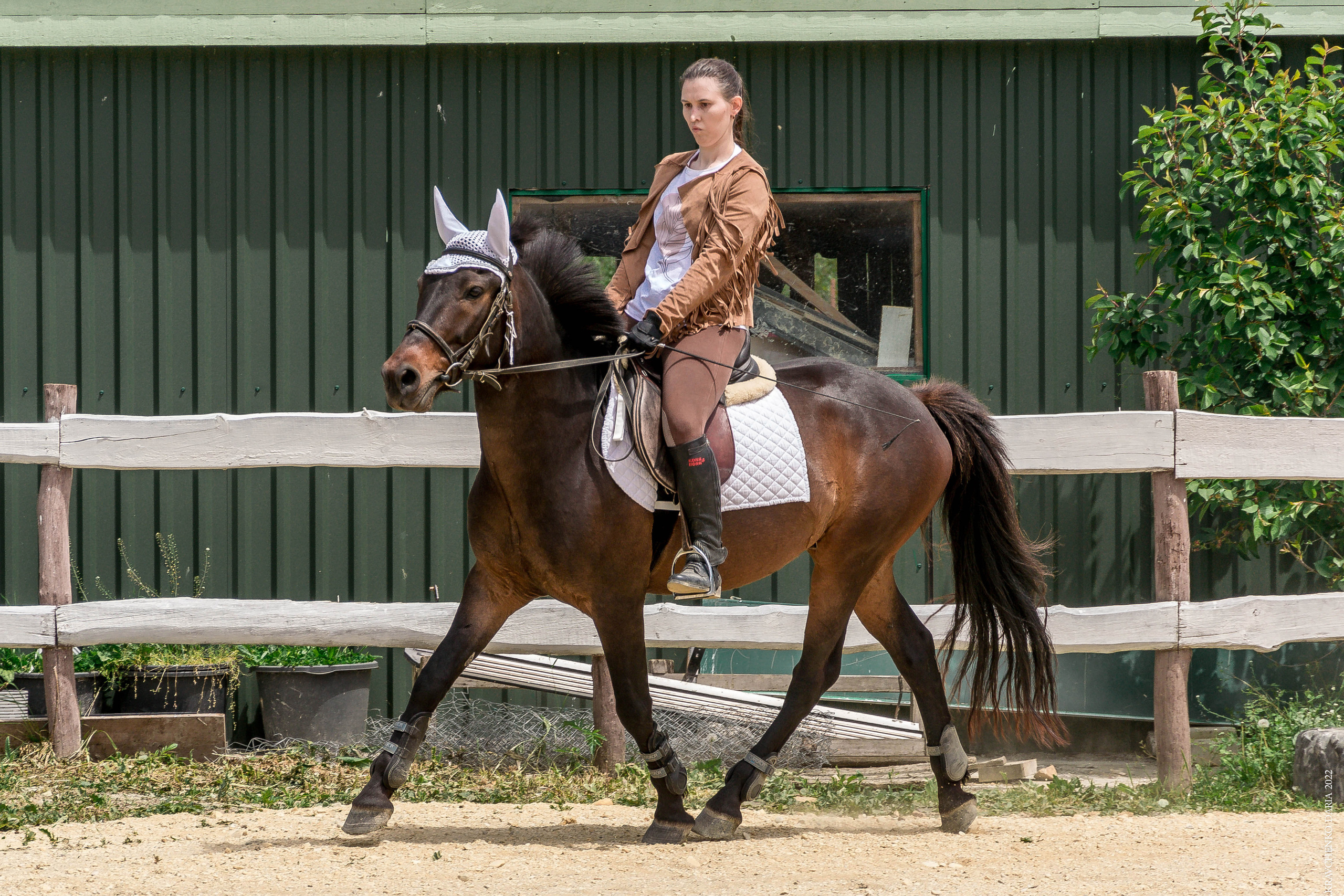 Соревнования в клубе «Реактив». Фотограф в Севастополе